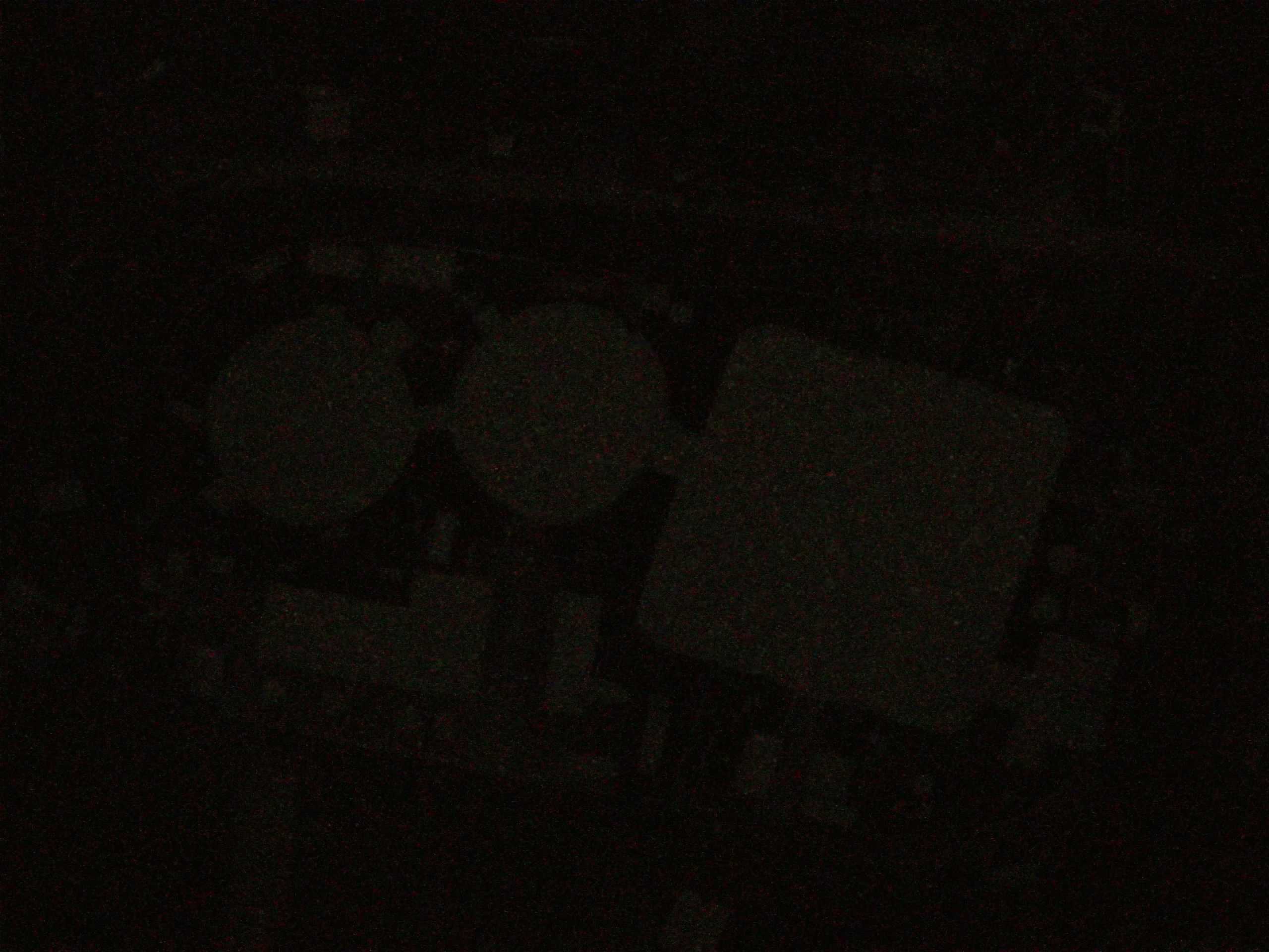 15.05.2025 00:06