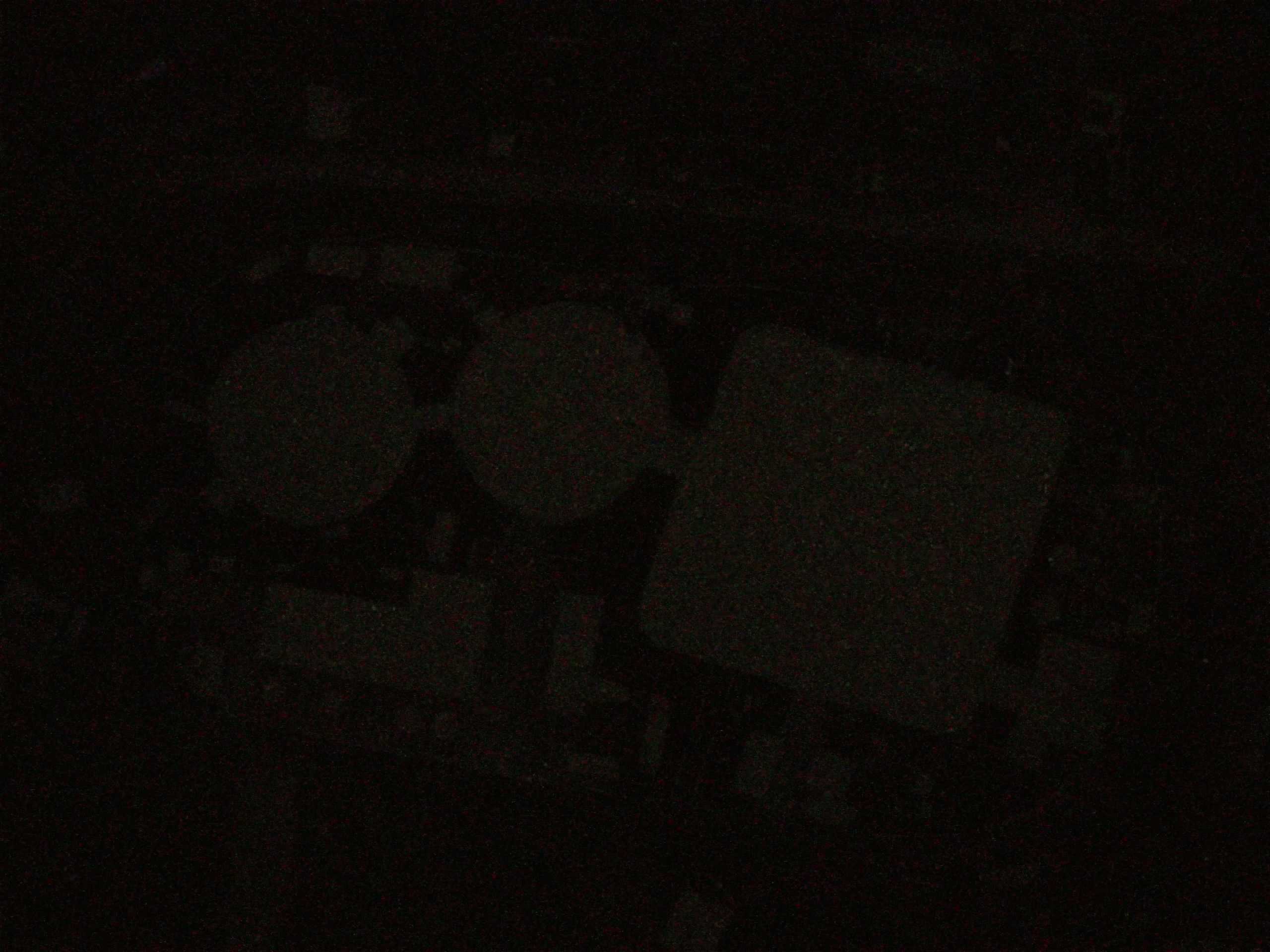 15.05.2025 01:26