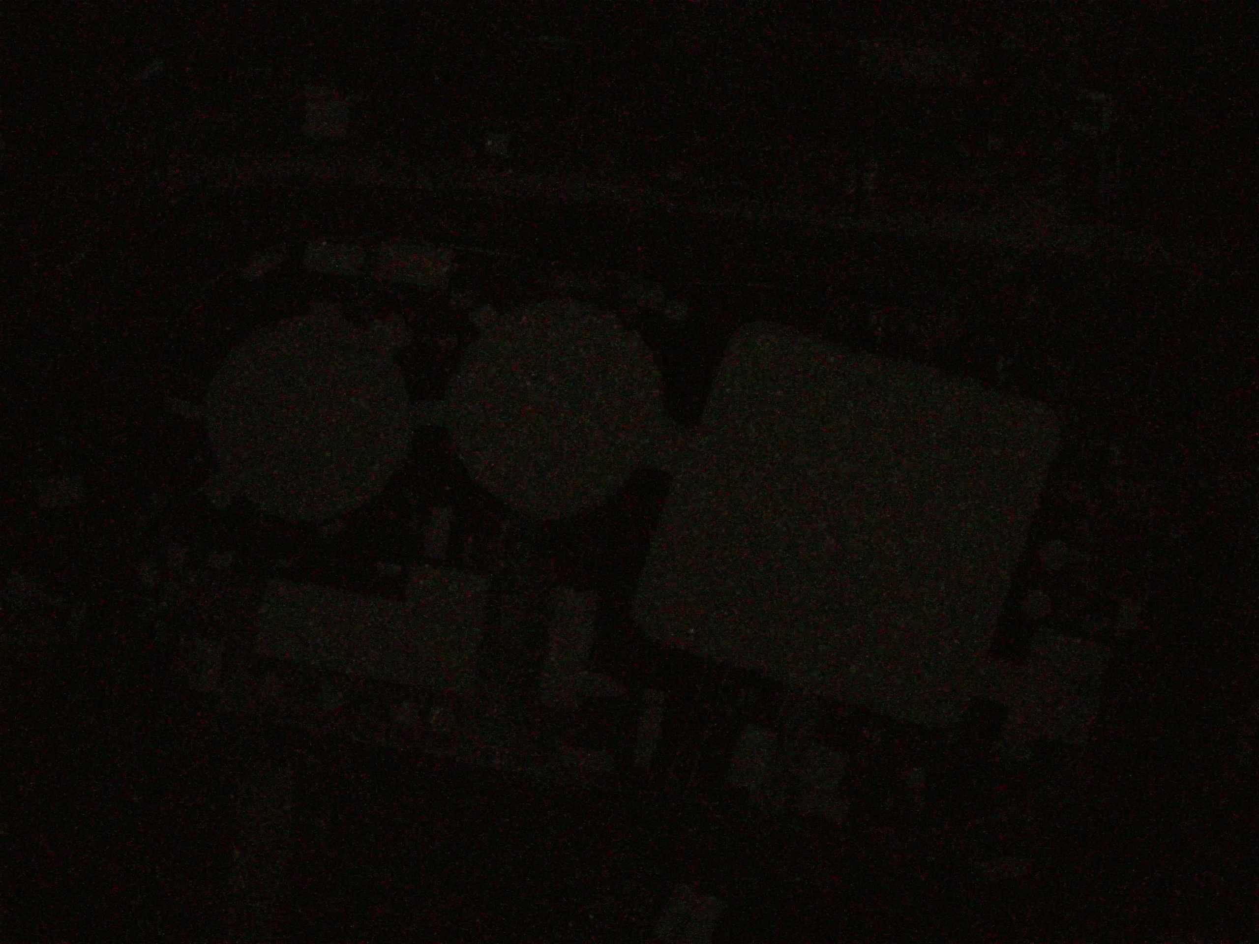 15.05.2025 01:46