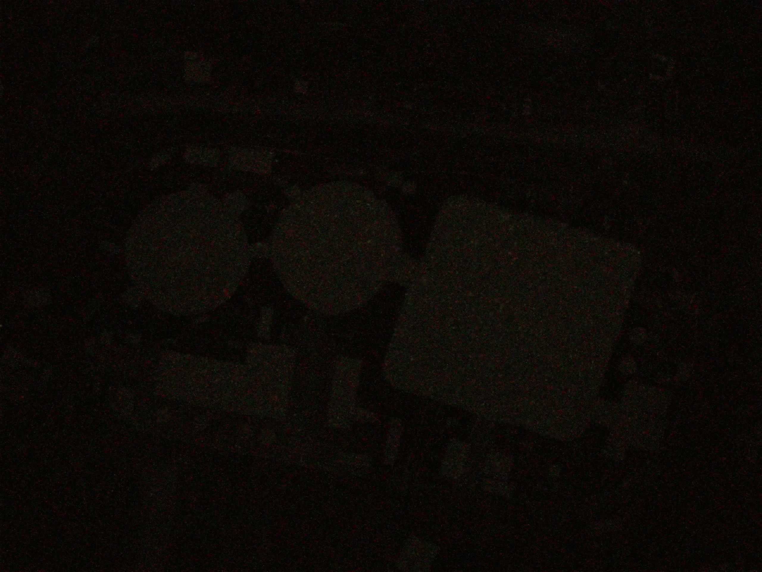 15.05.2025 01:56
