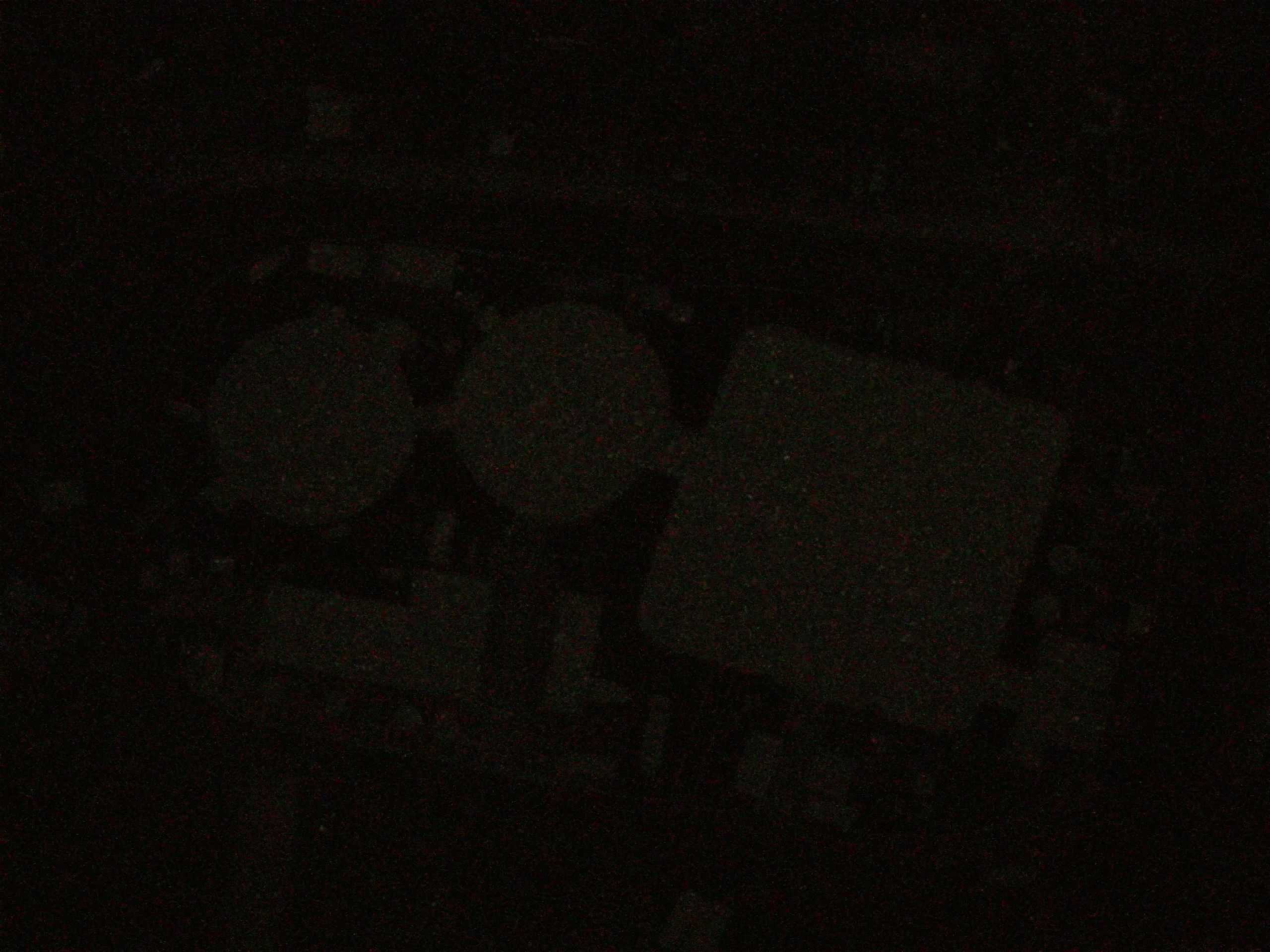 15.05.2025 02:26