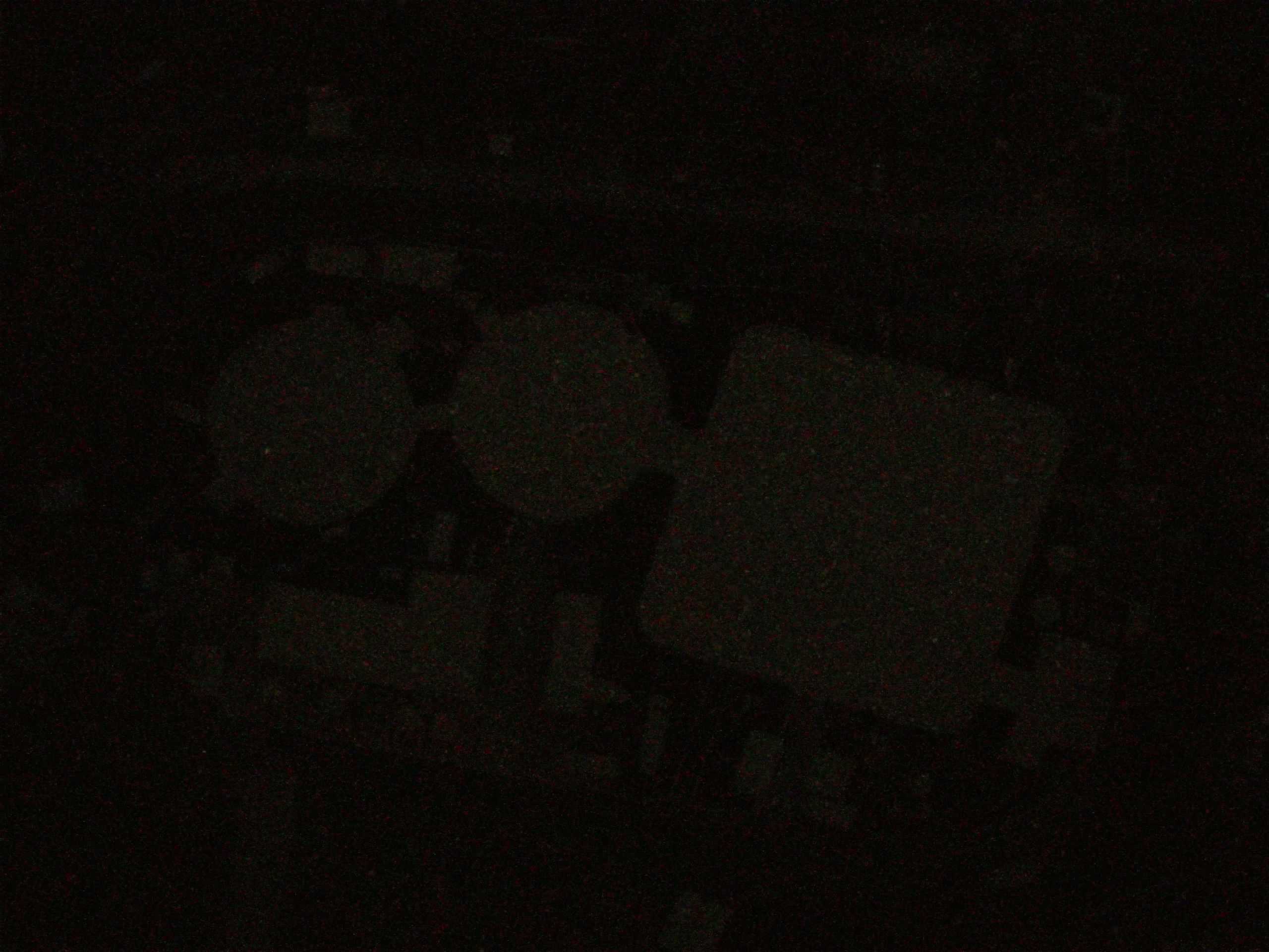 15.05.2025 03:26