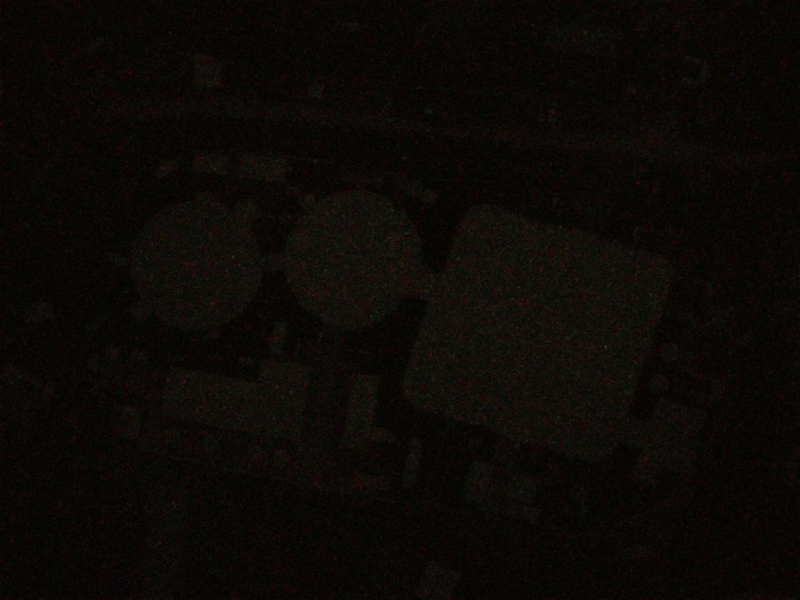 15.05.2025 04:06
