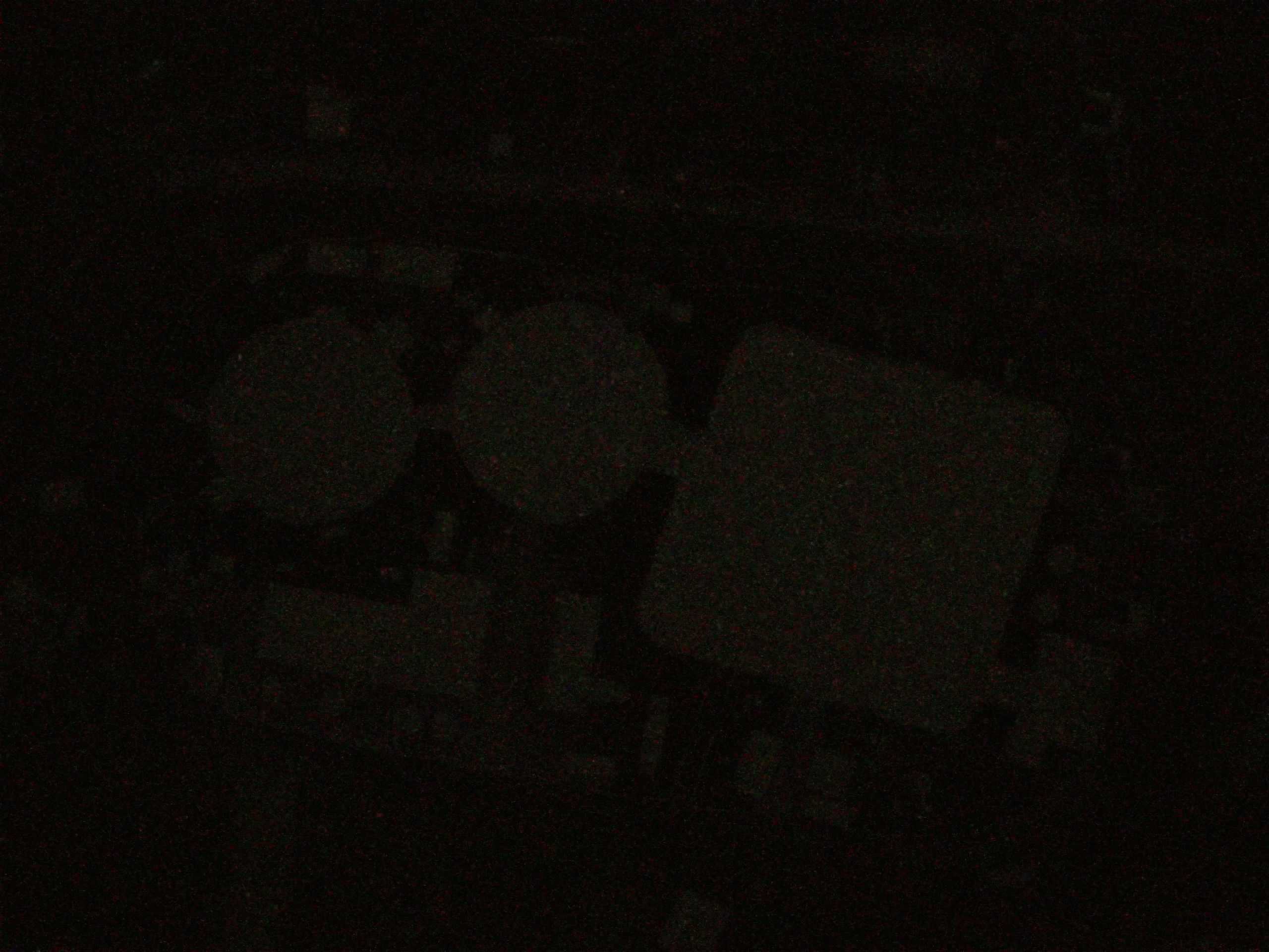 15.05.2025 04:16