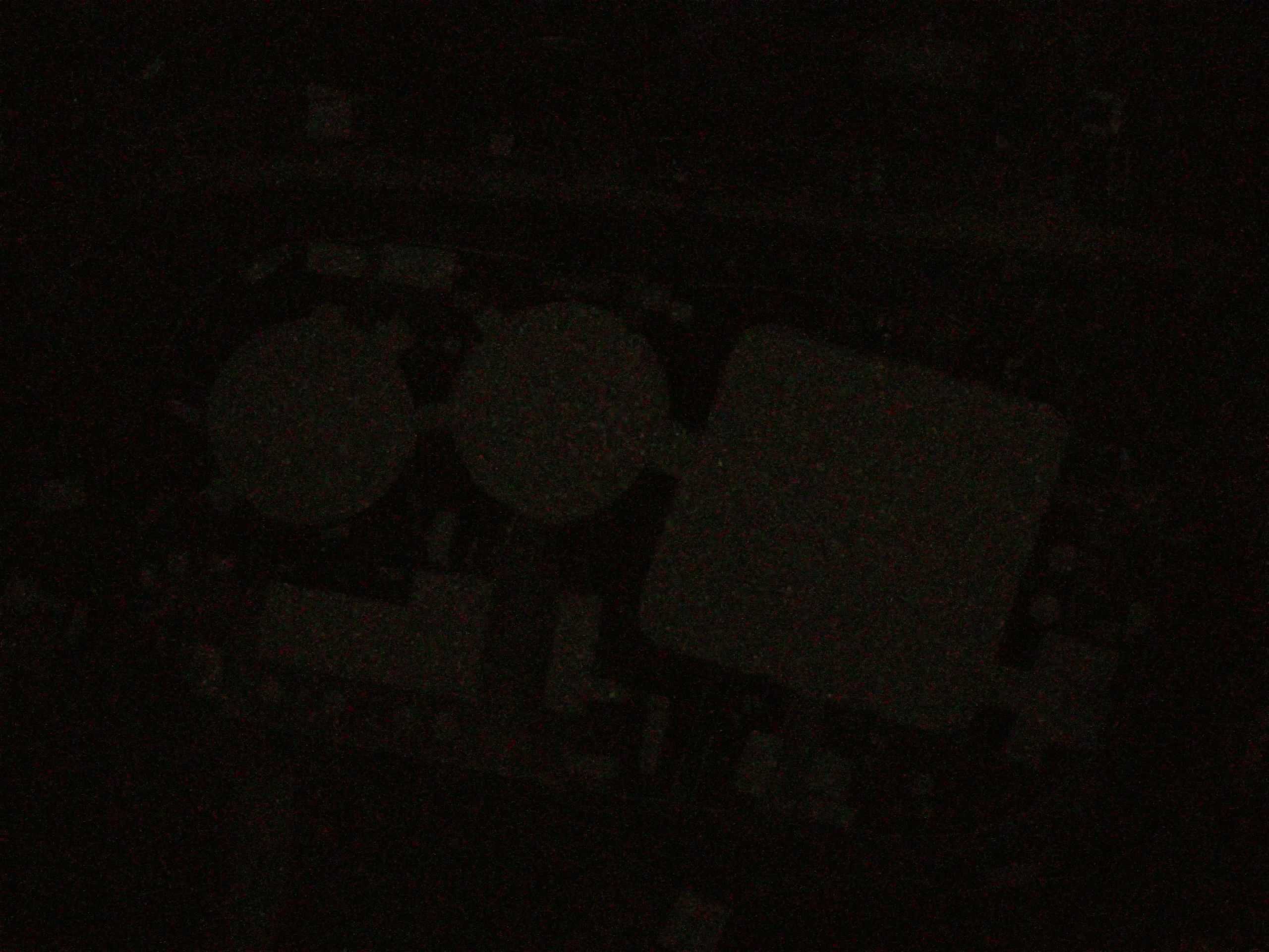 15.05.2025 04:26