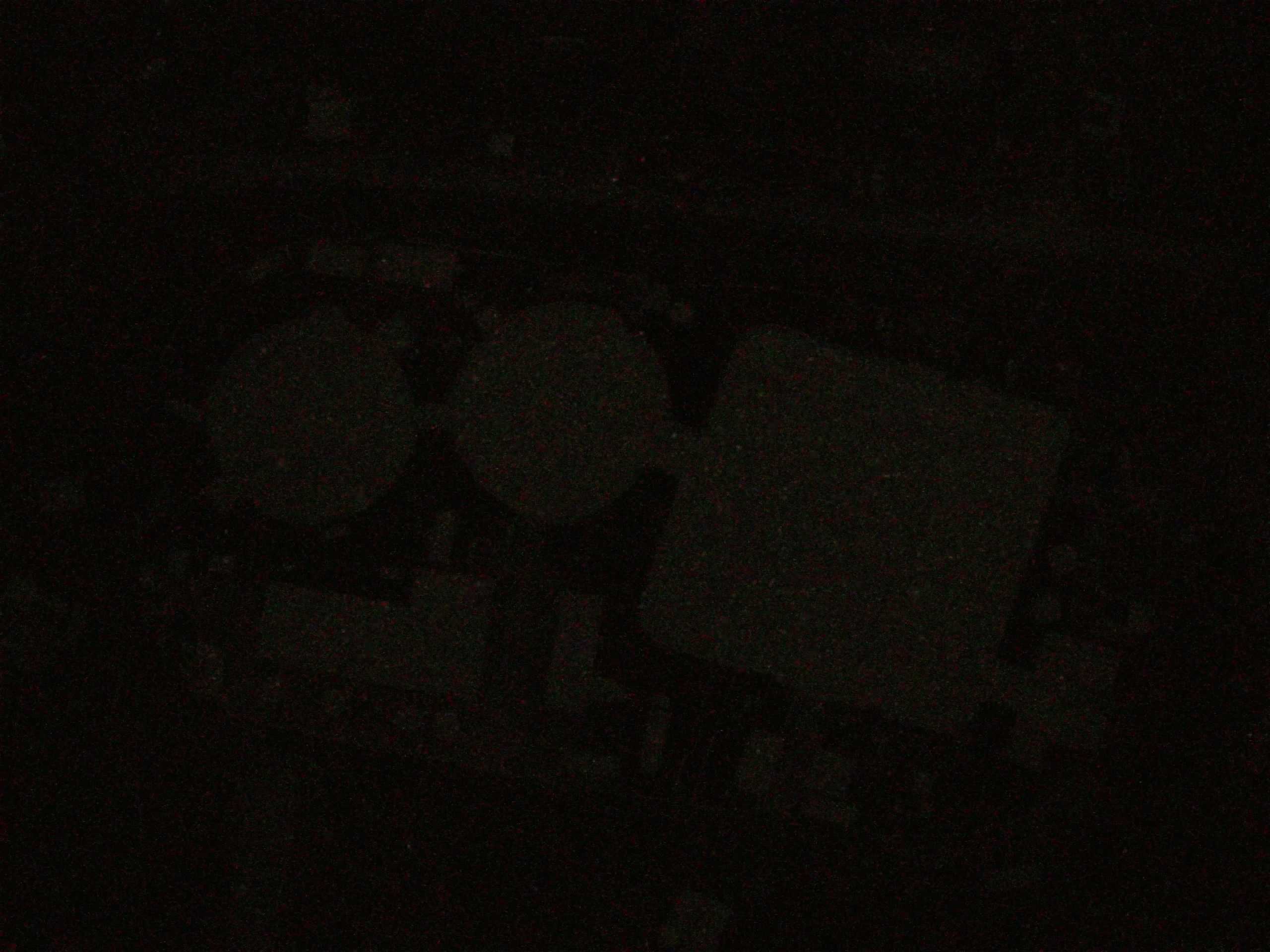 16.05.2025 01:57