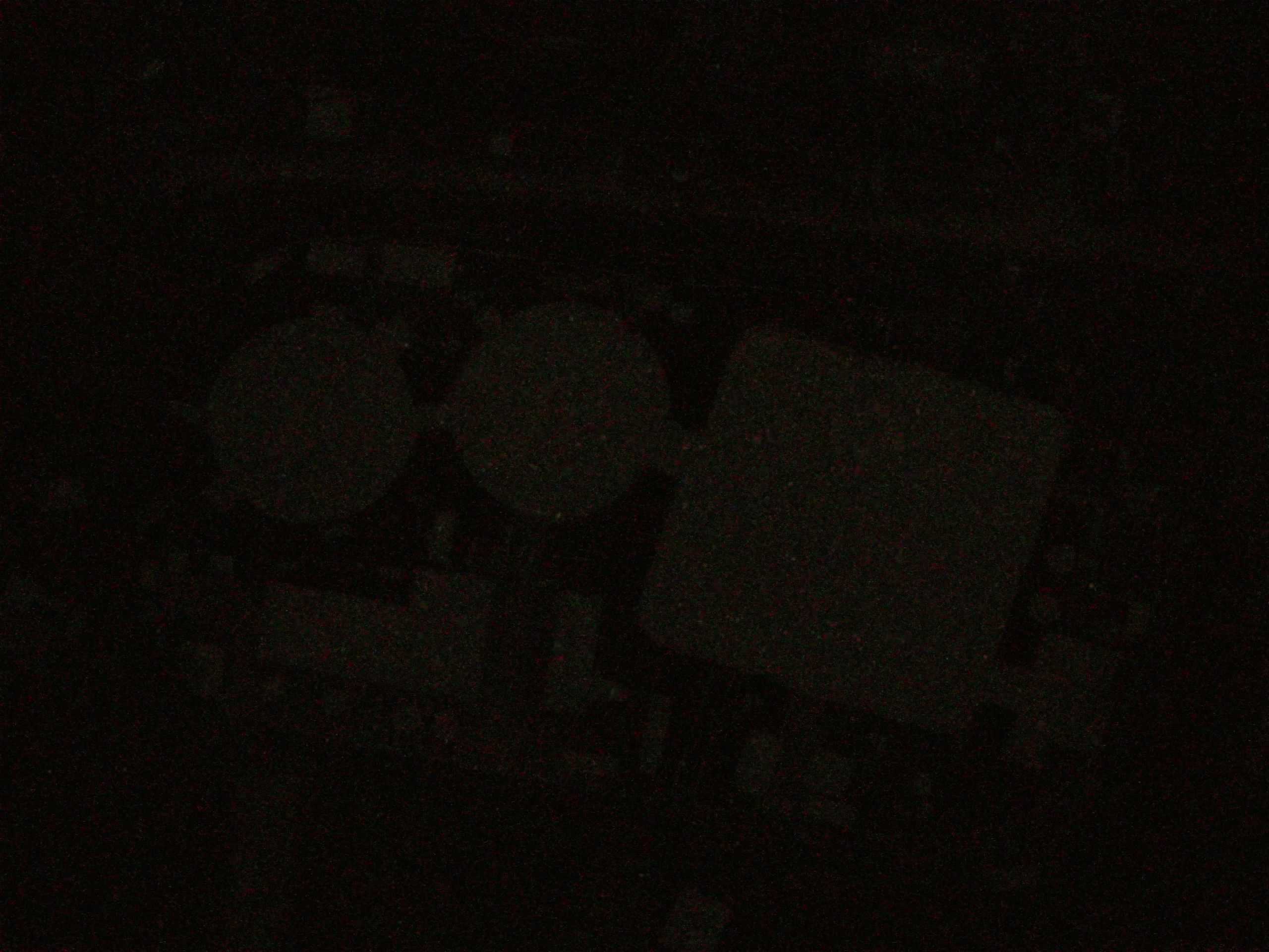 16.05.2025 02:37