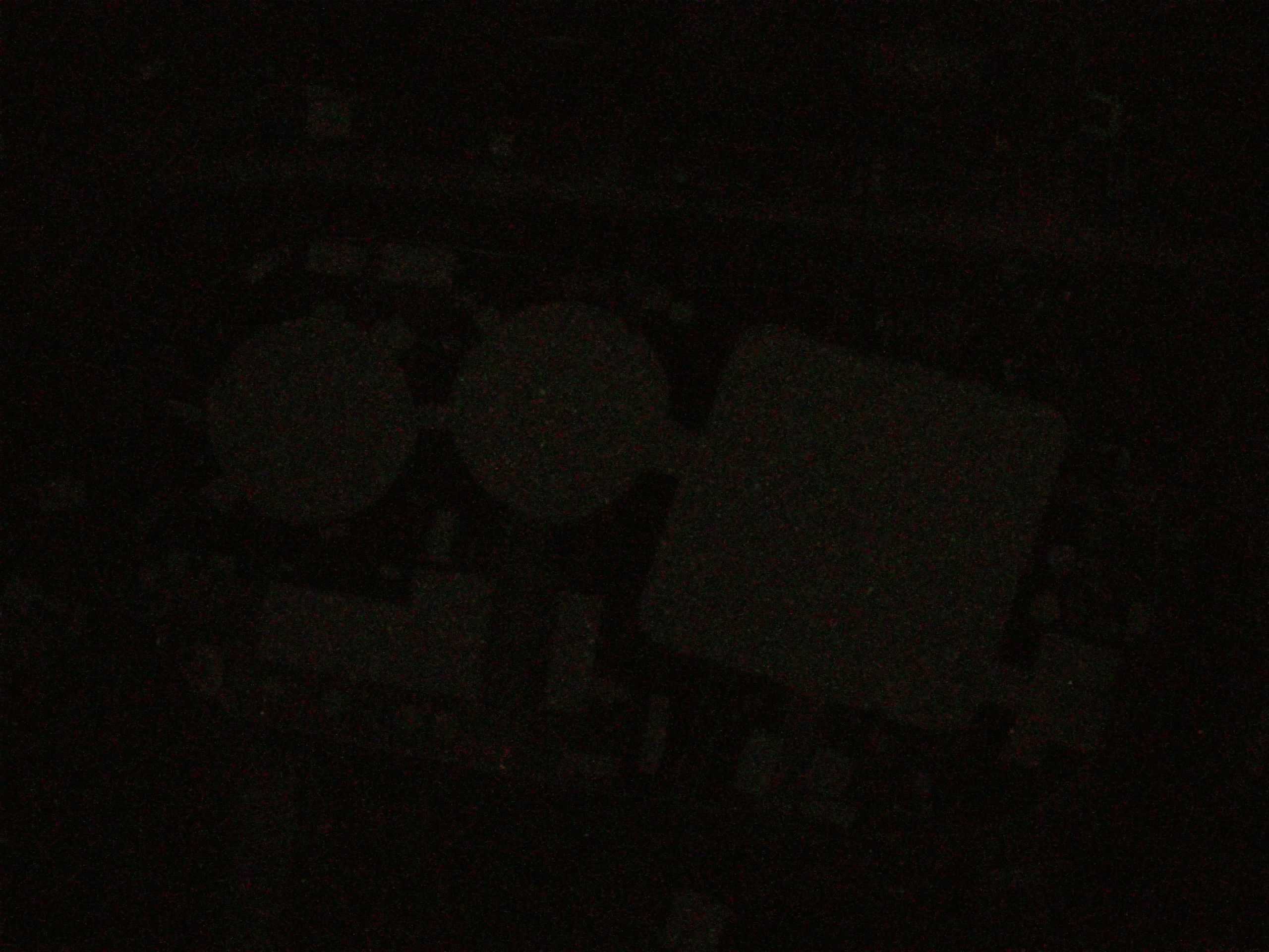 16.05.2025 02:47