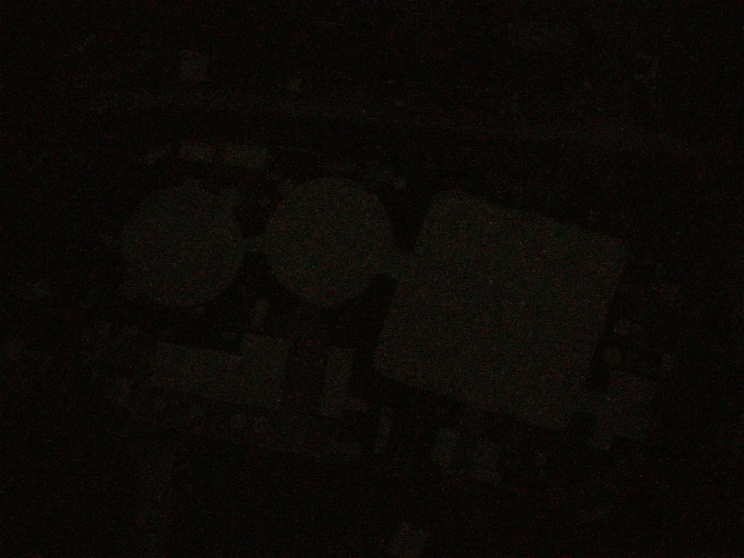 16.05.2025 02:57