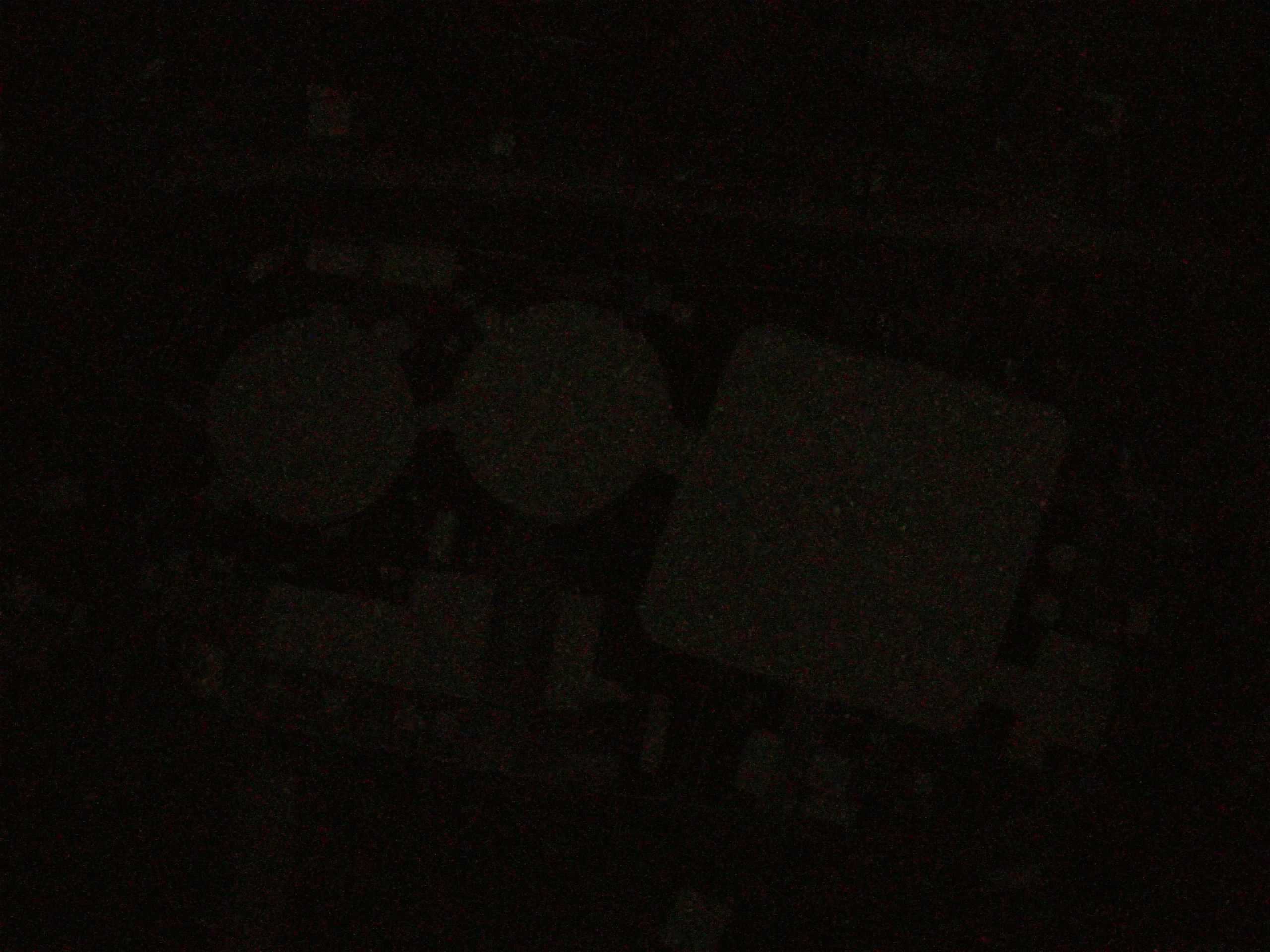 16.05.2025 03:07