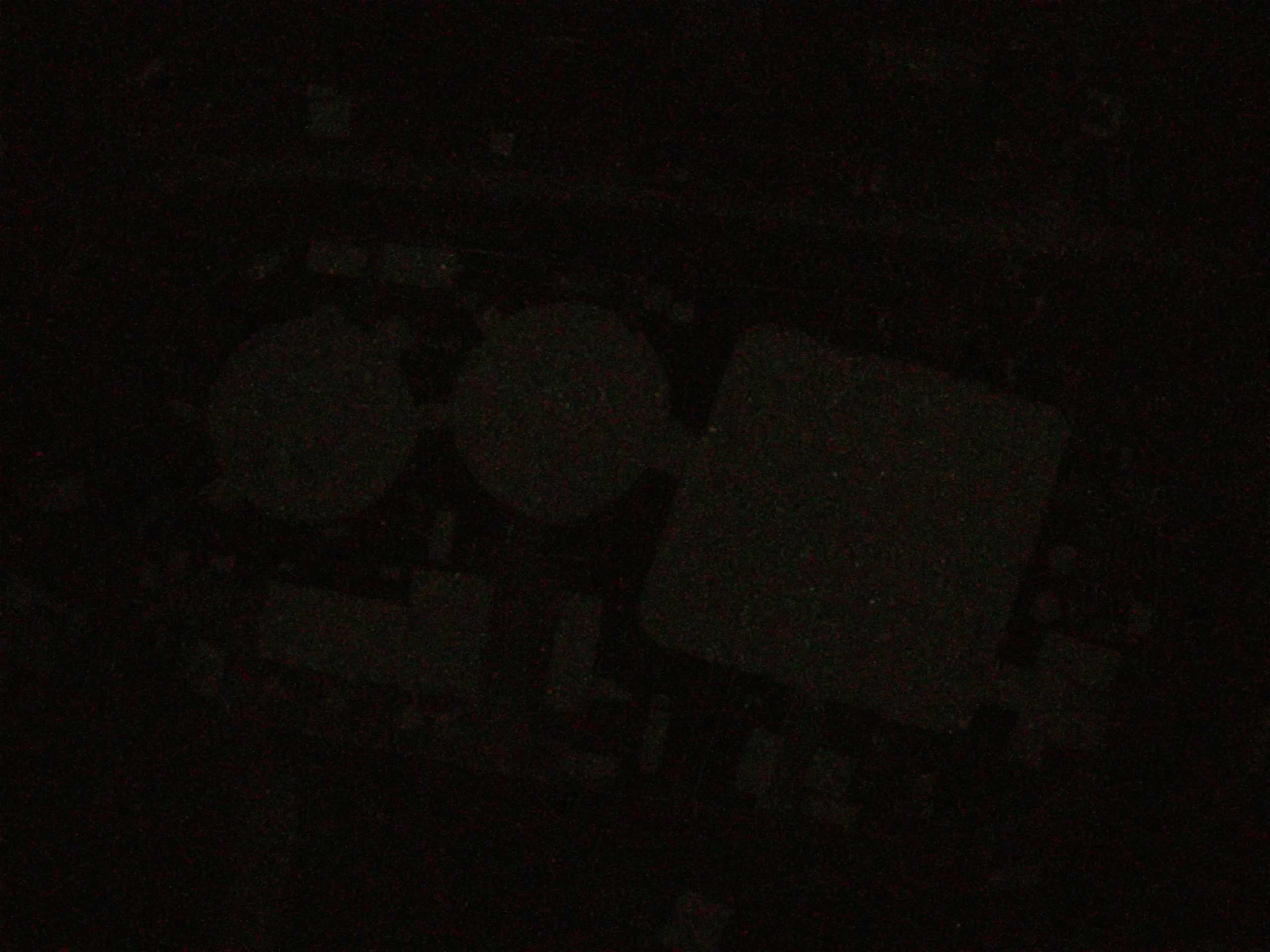16.05.2025 03:17