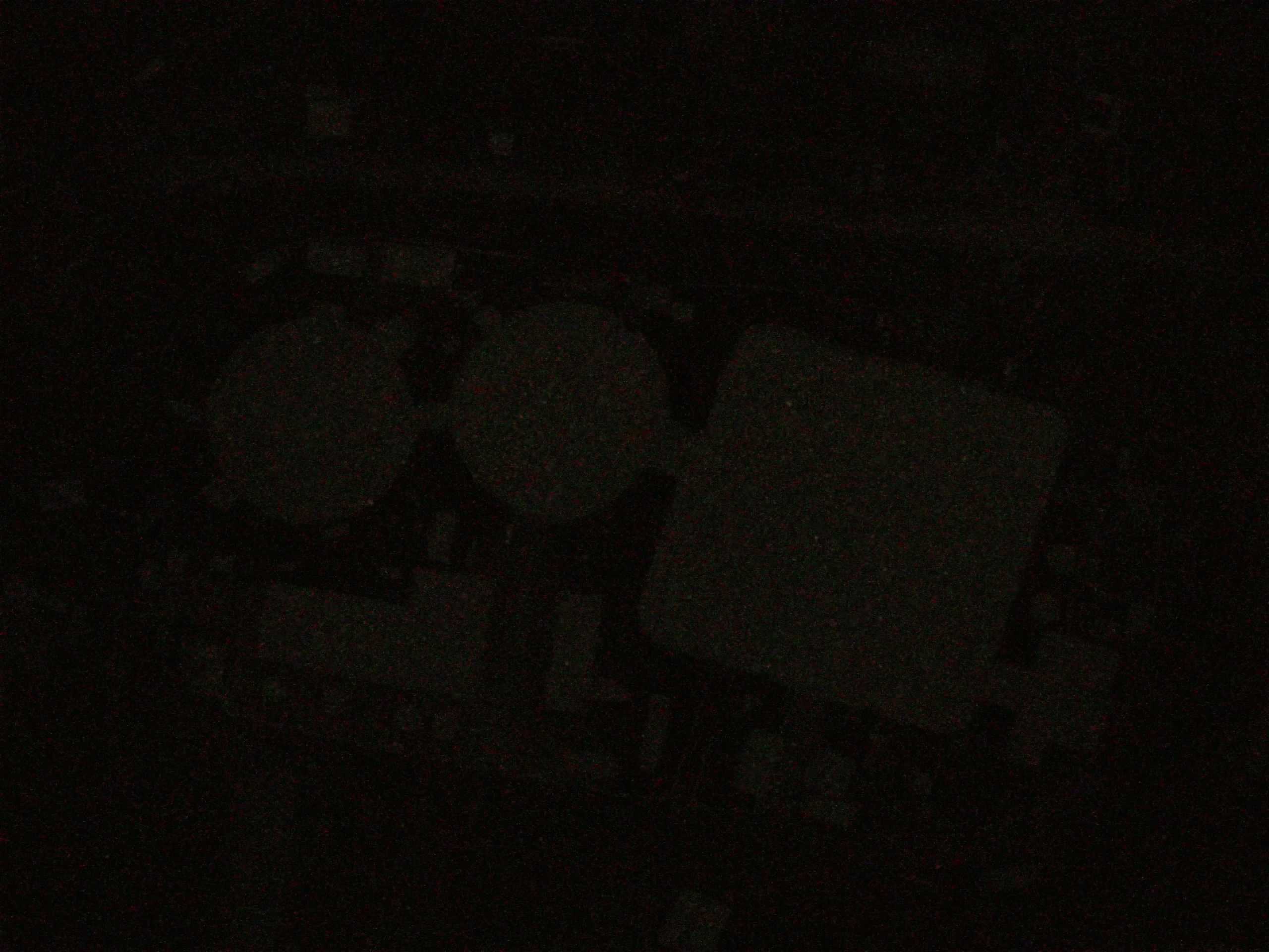 16.05.2025 03:57