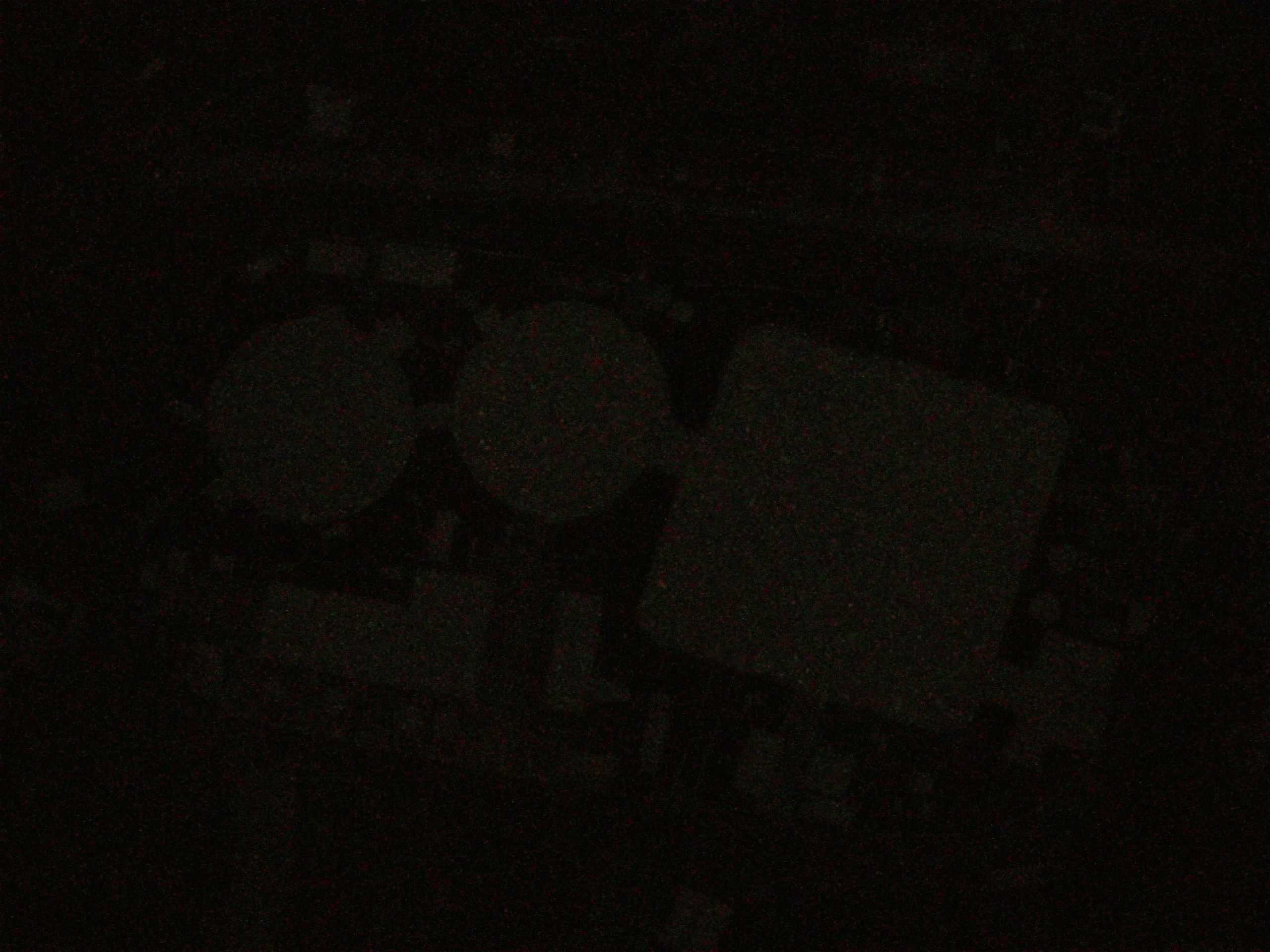 16.05.2025 04:17