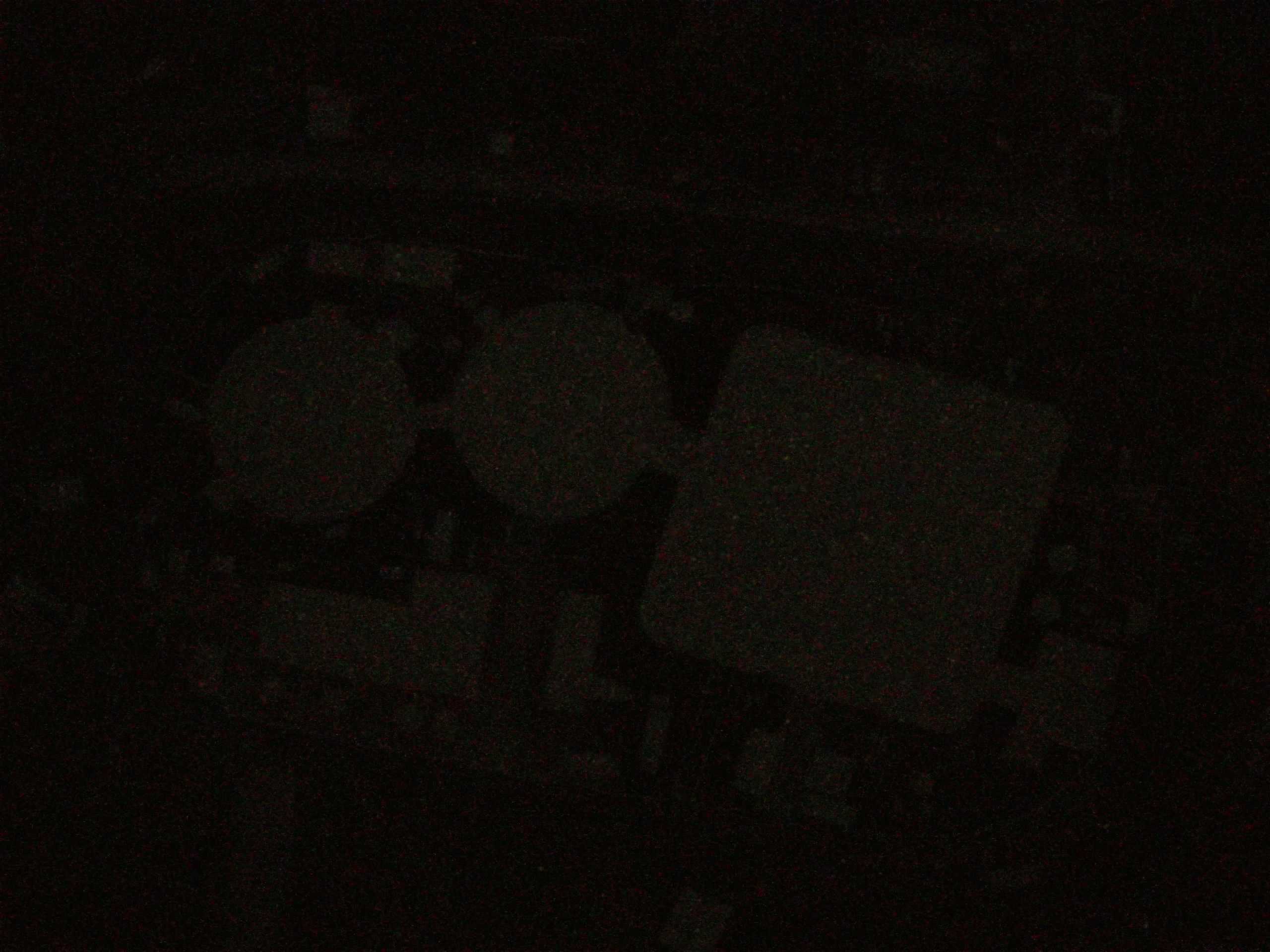 16.05.2025 04:27
