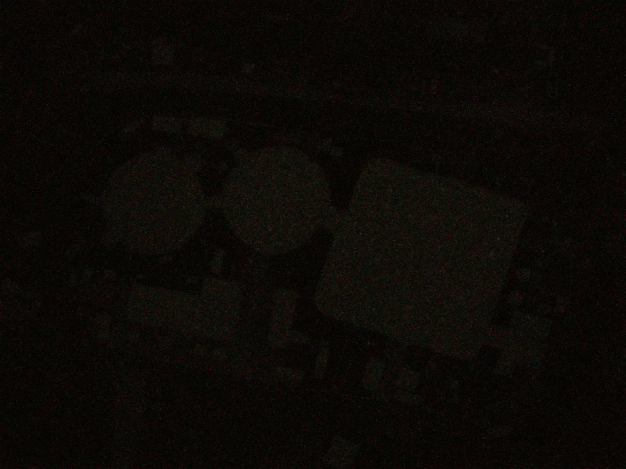 17.05.2025 01:08