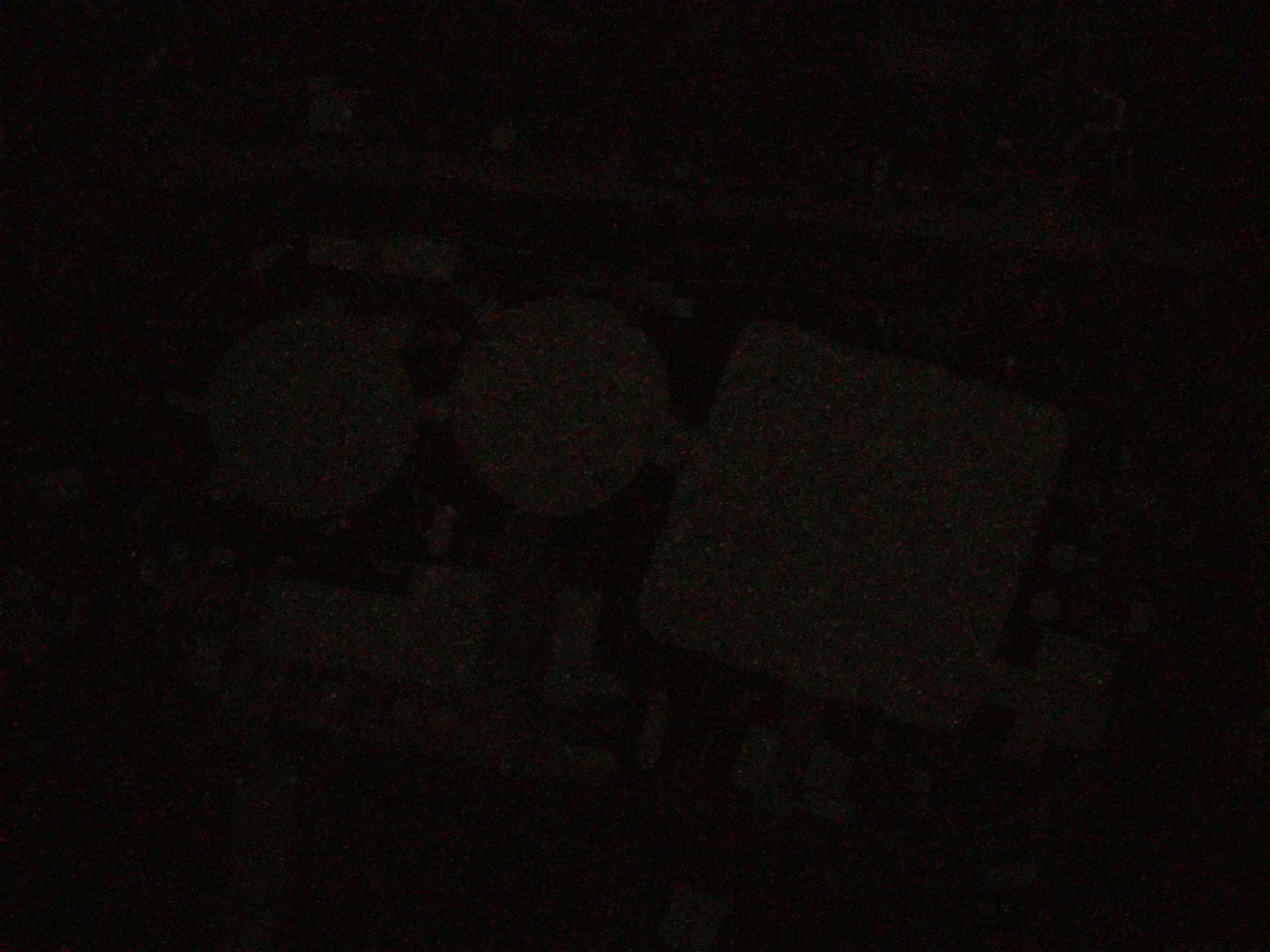 17.05.2025 03:38