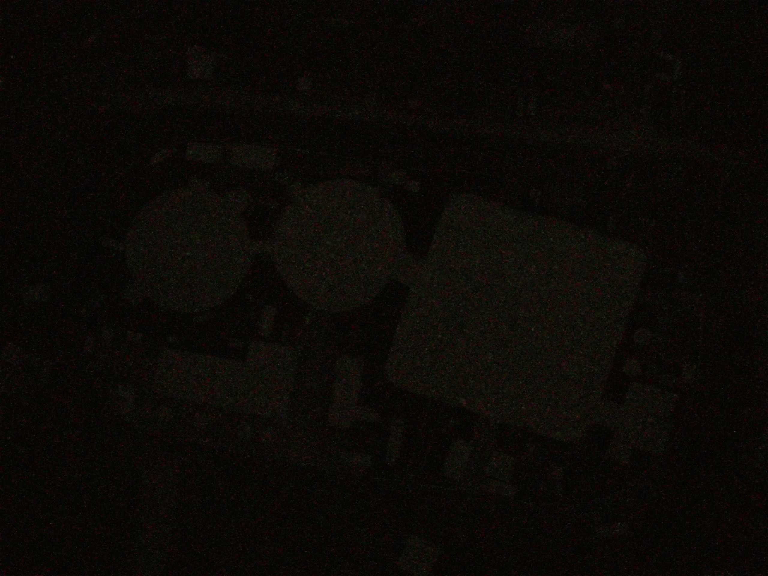 17.05.2025 04:08