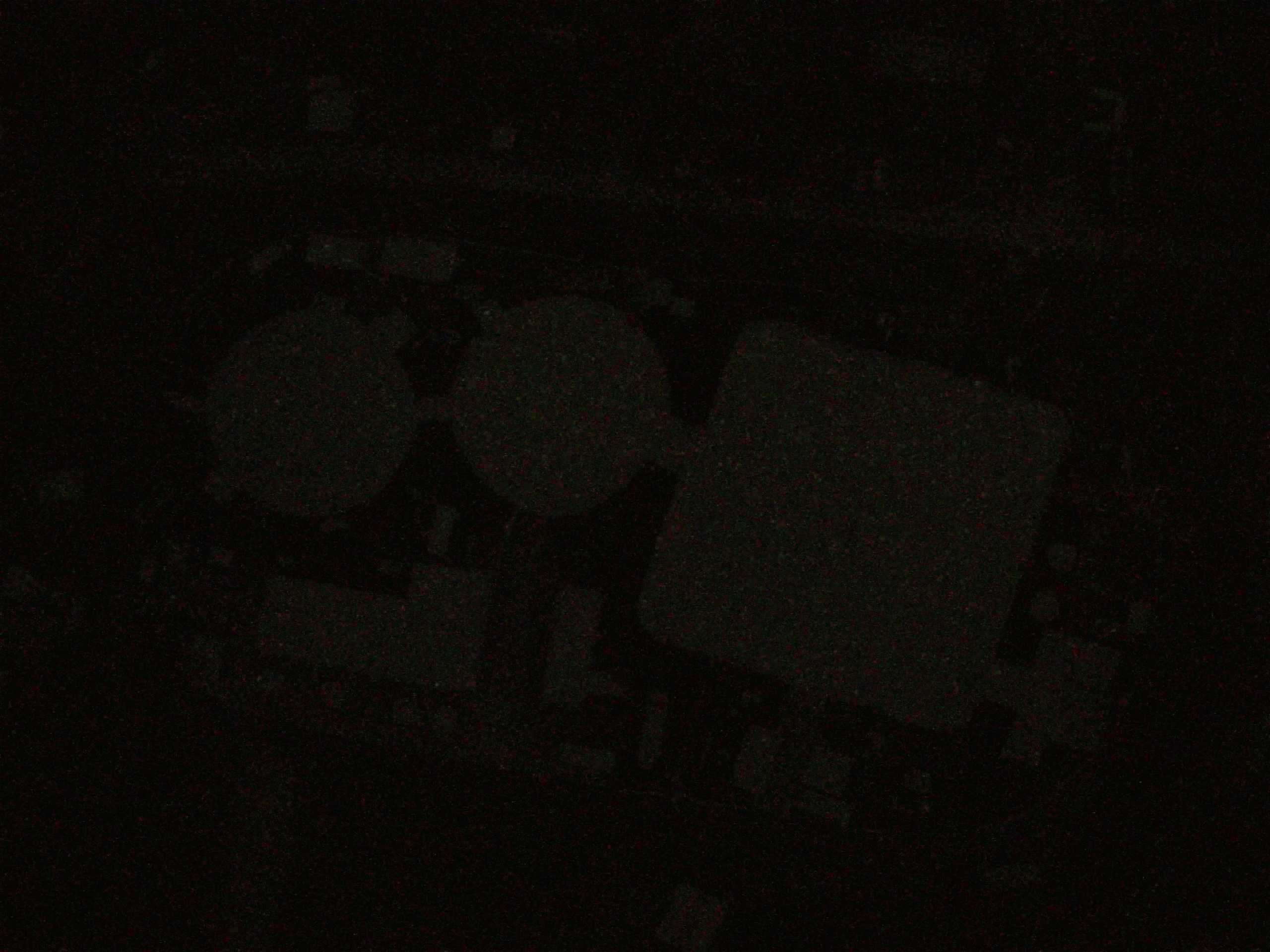 17.05.2025 04:18