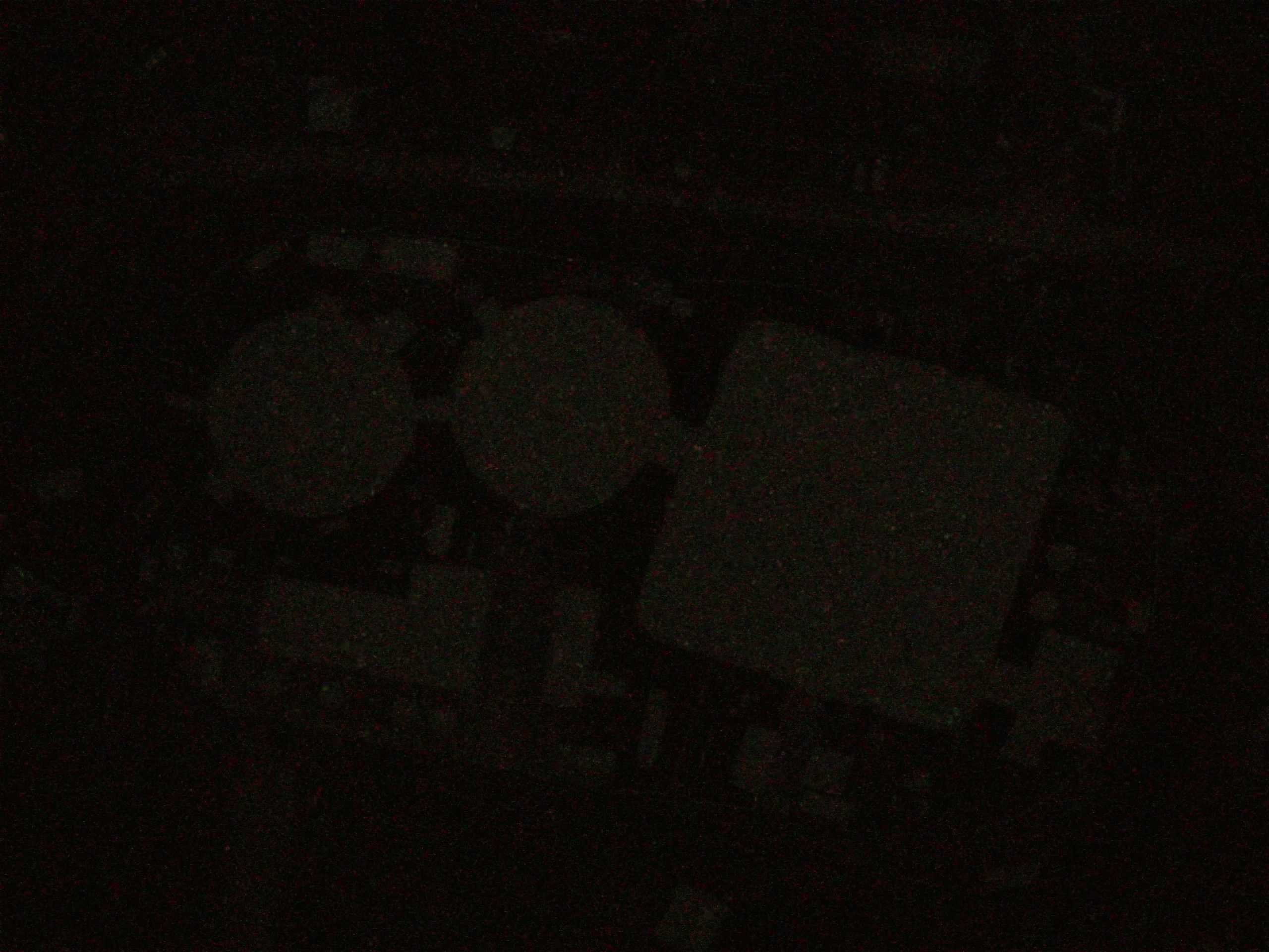 17.05.2025 04:28