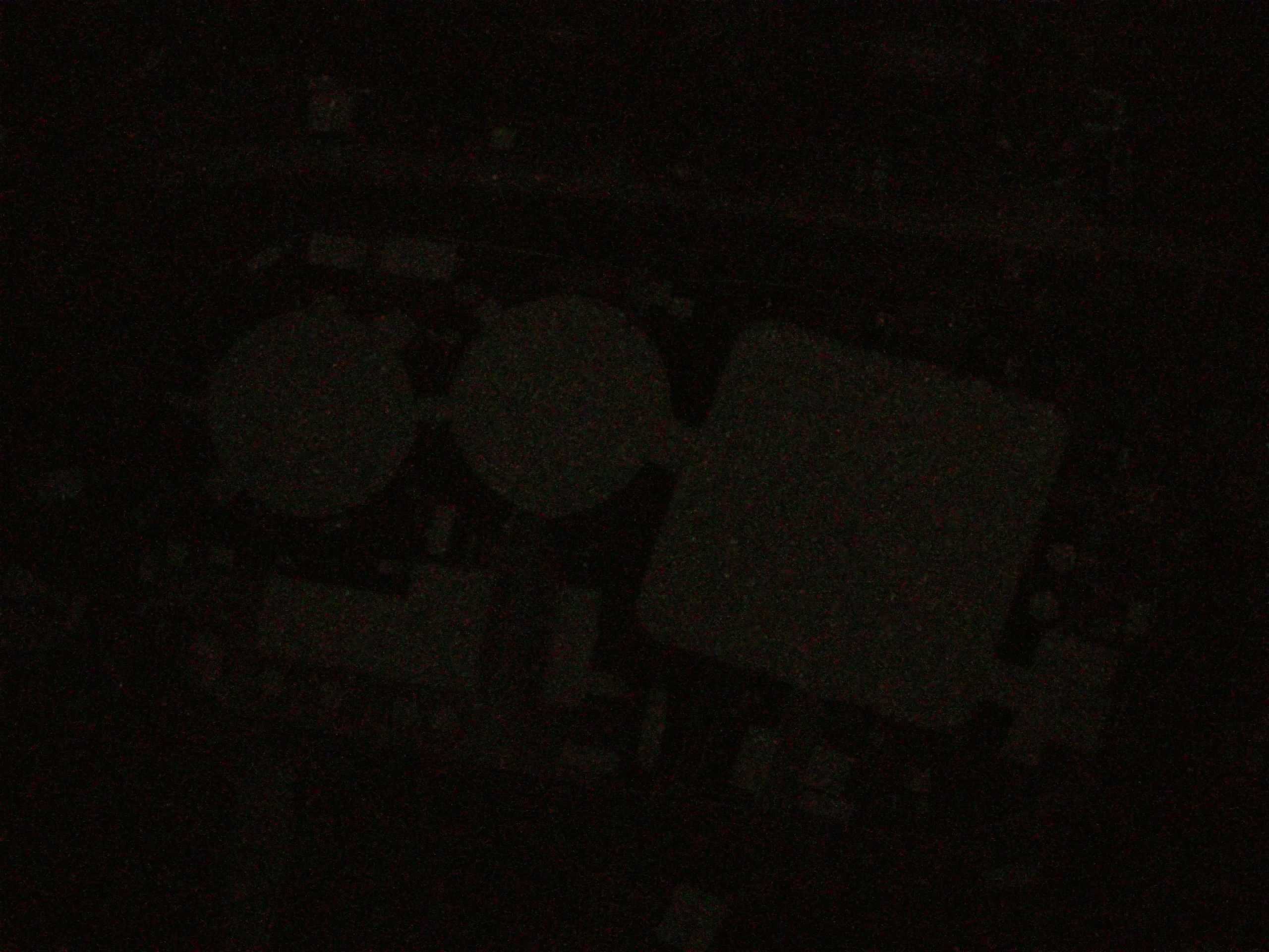 18.05.2025 04:29
