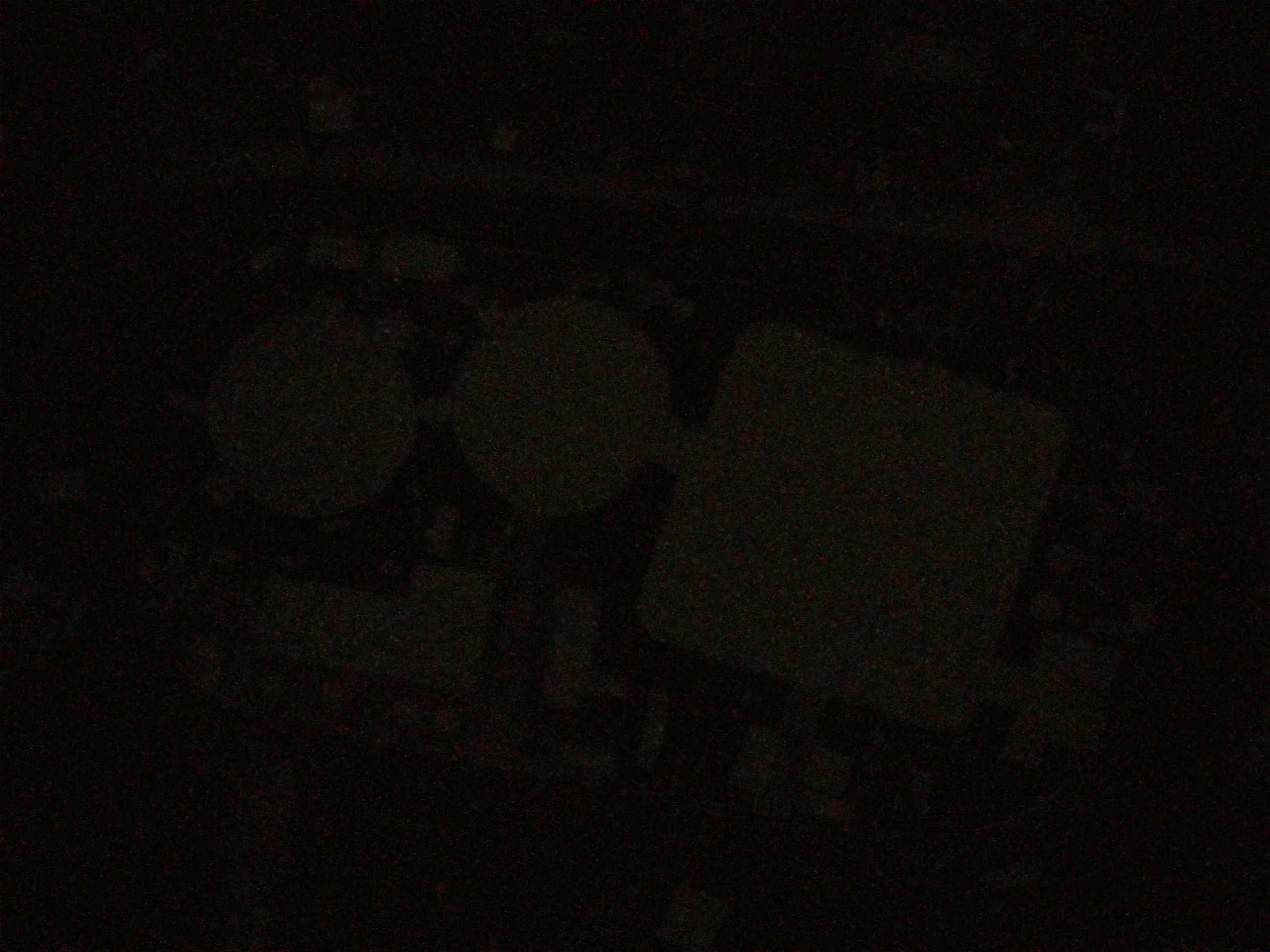 18.05.2025 22:39