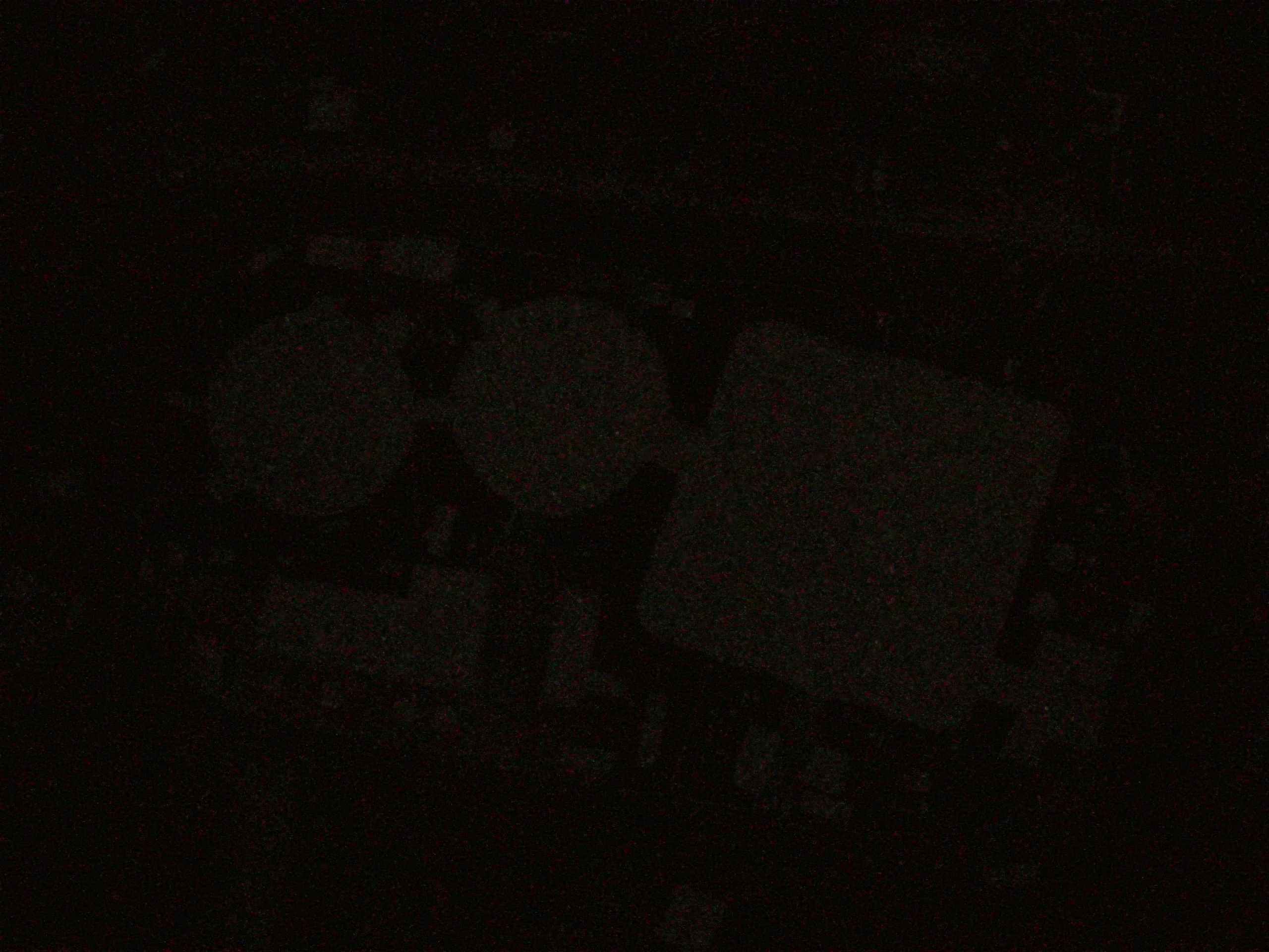 19.05.2025 00:09
