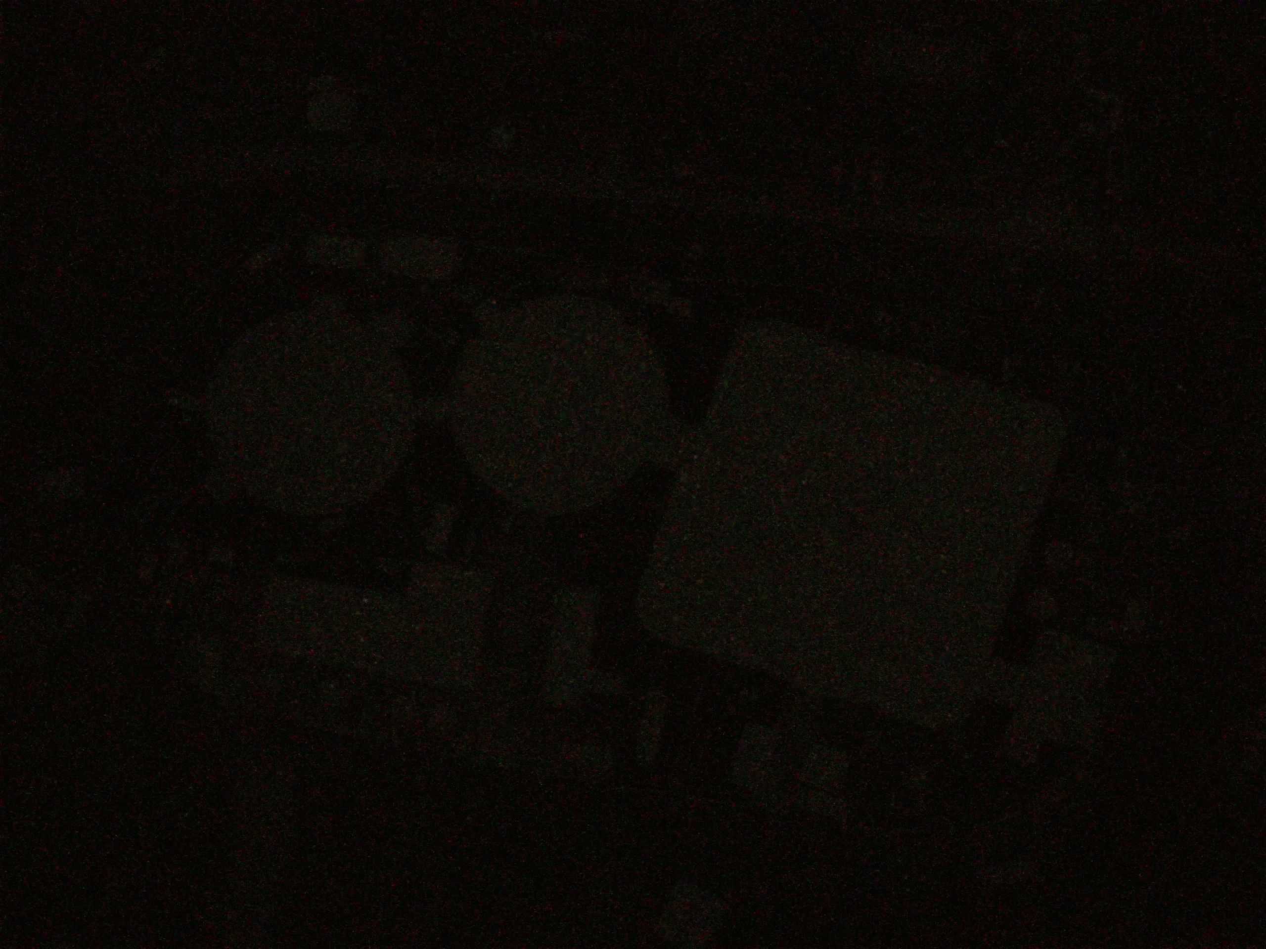 19.05.2025 00:19