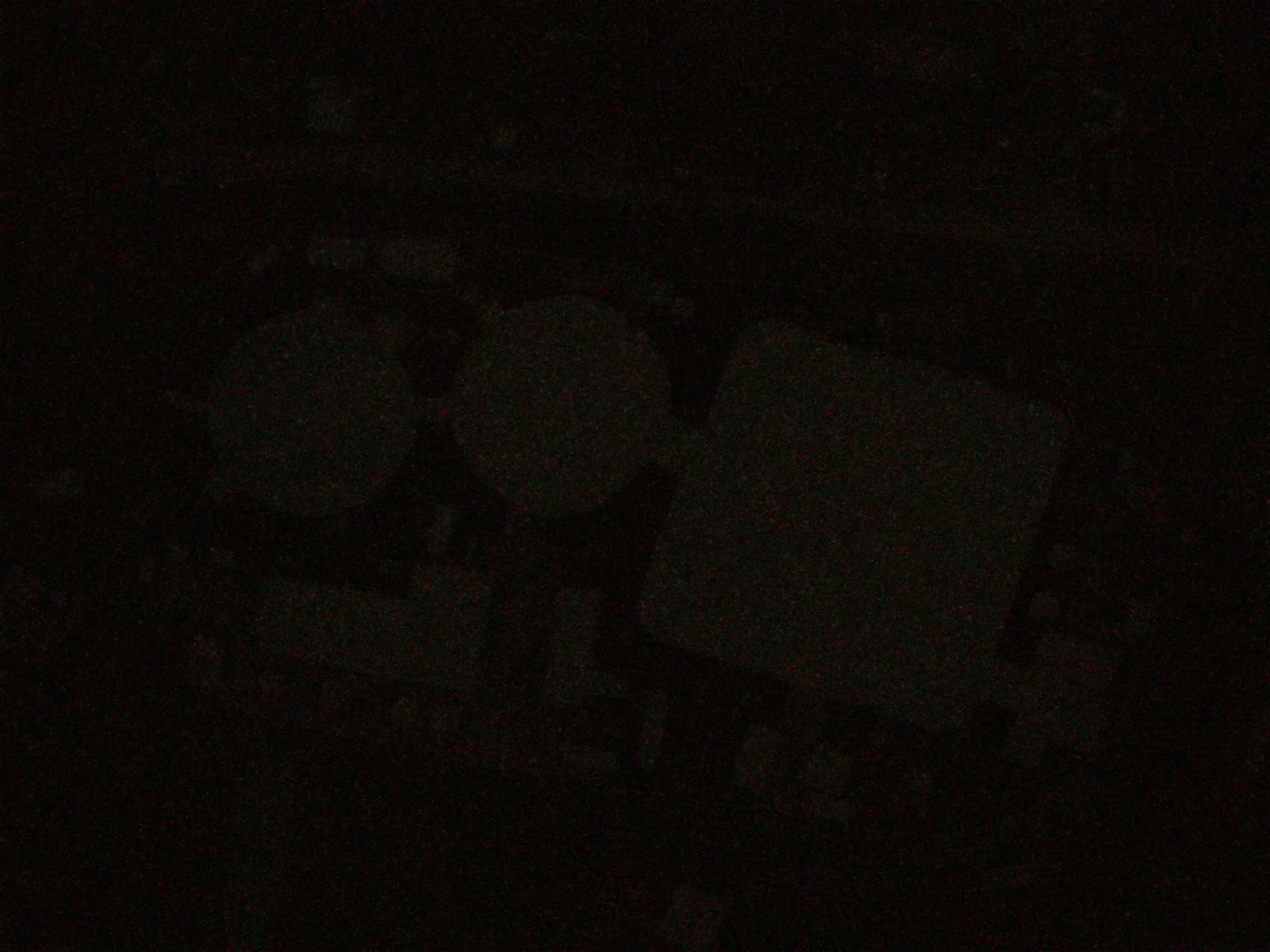 19.05.2025 00:39