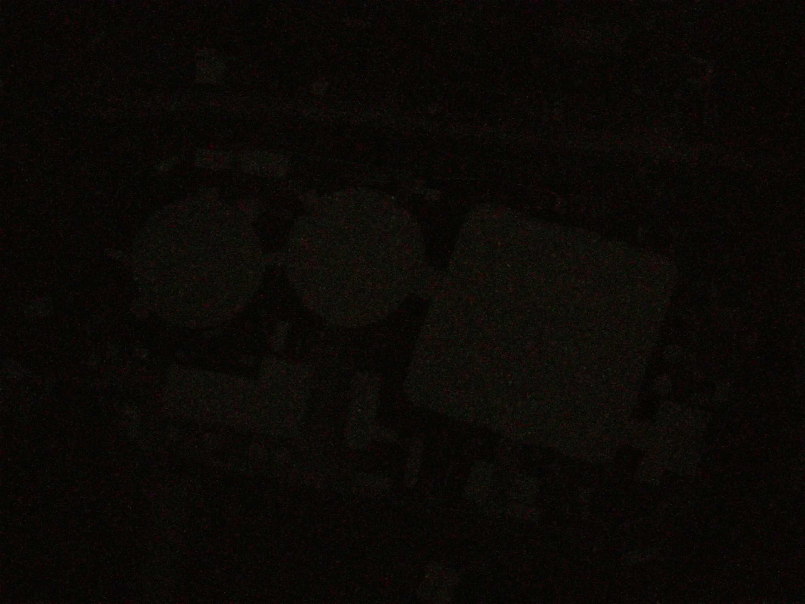 19.05.2025 00:59