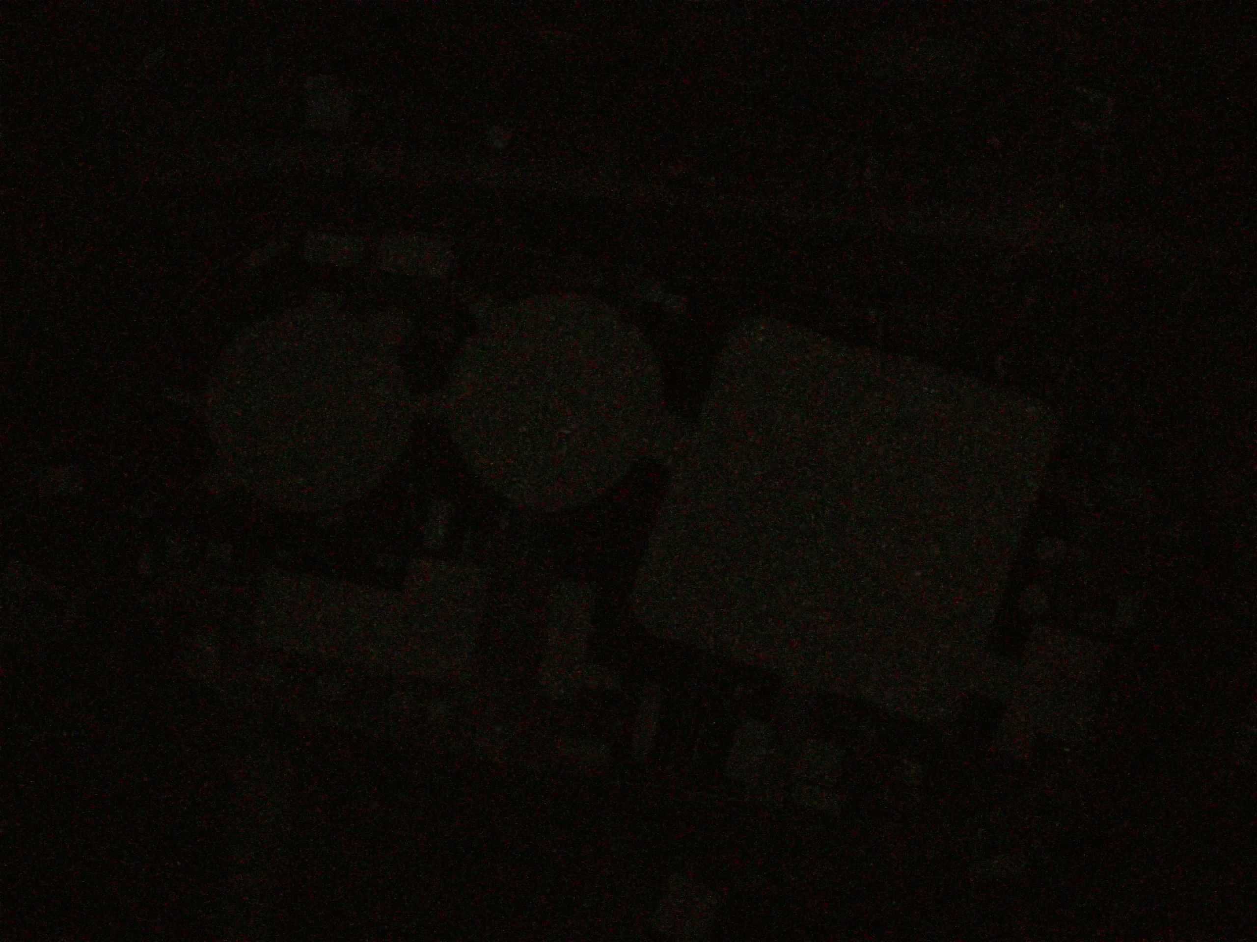19.05.2025 01:39