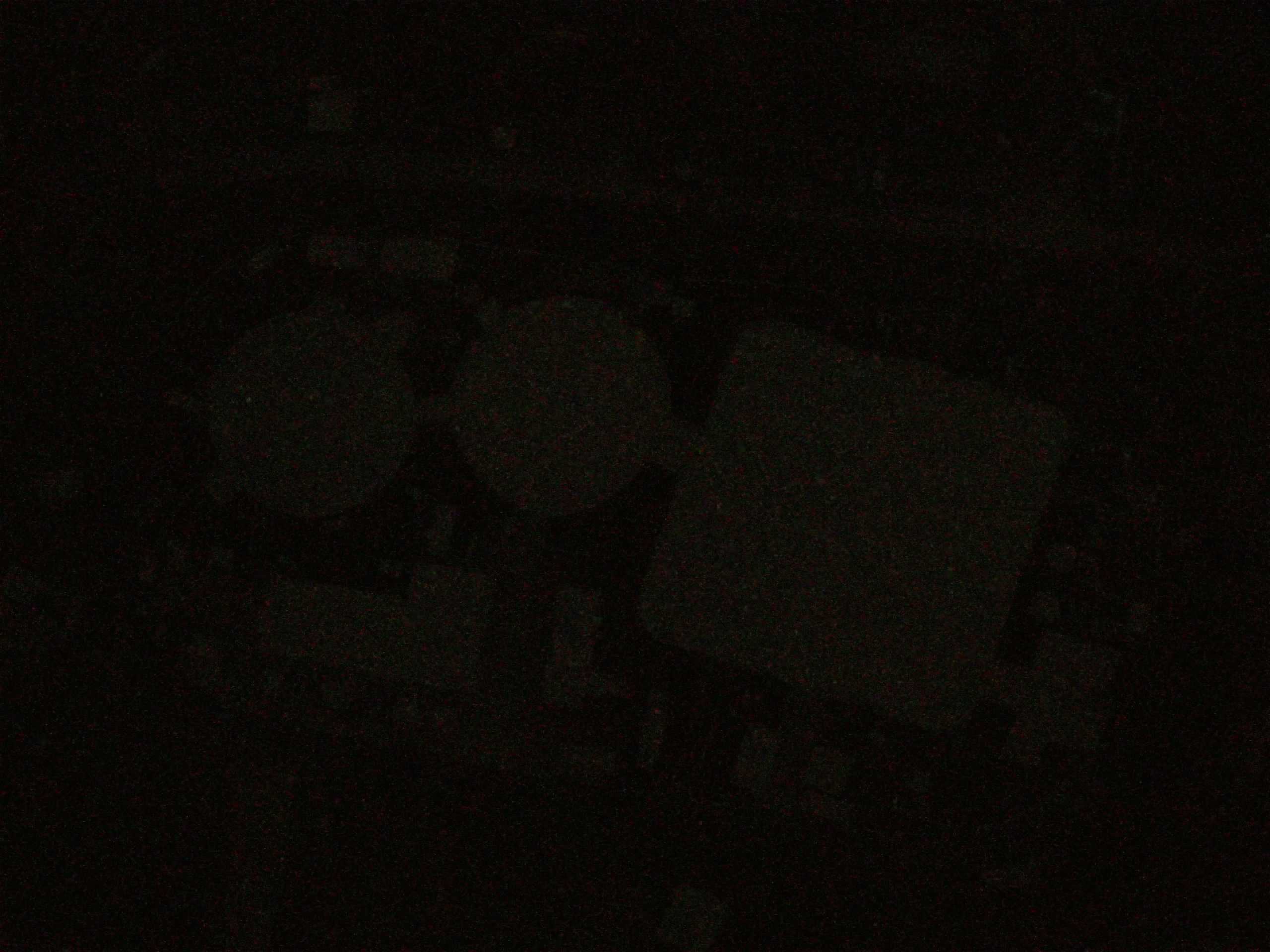 19.05.2025 01:49