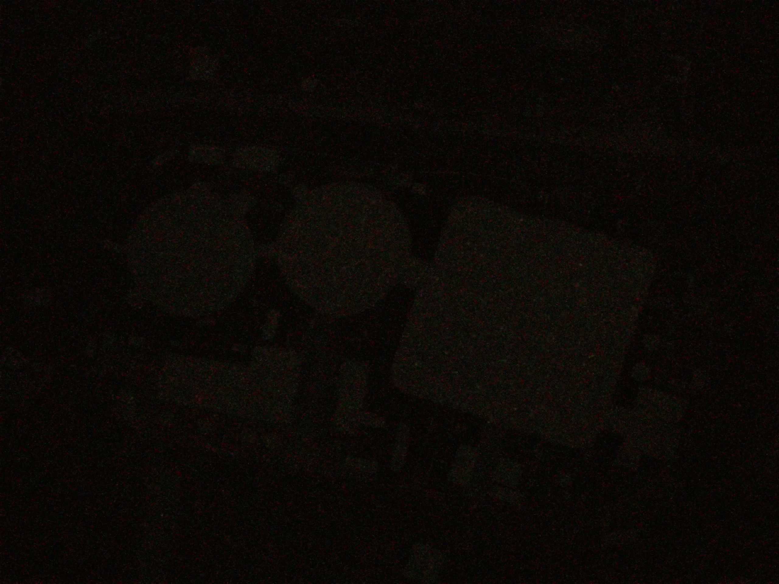 19.05.2025 01:59