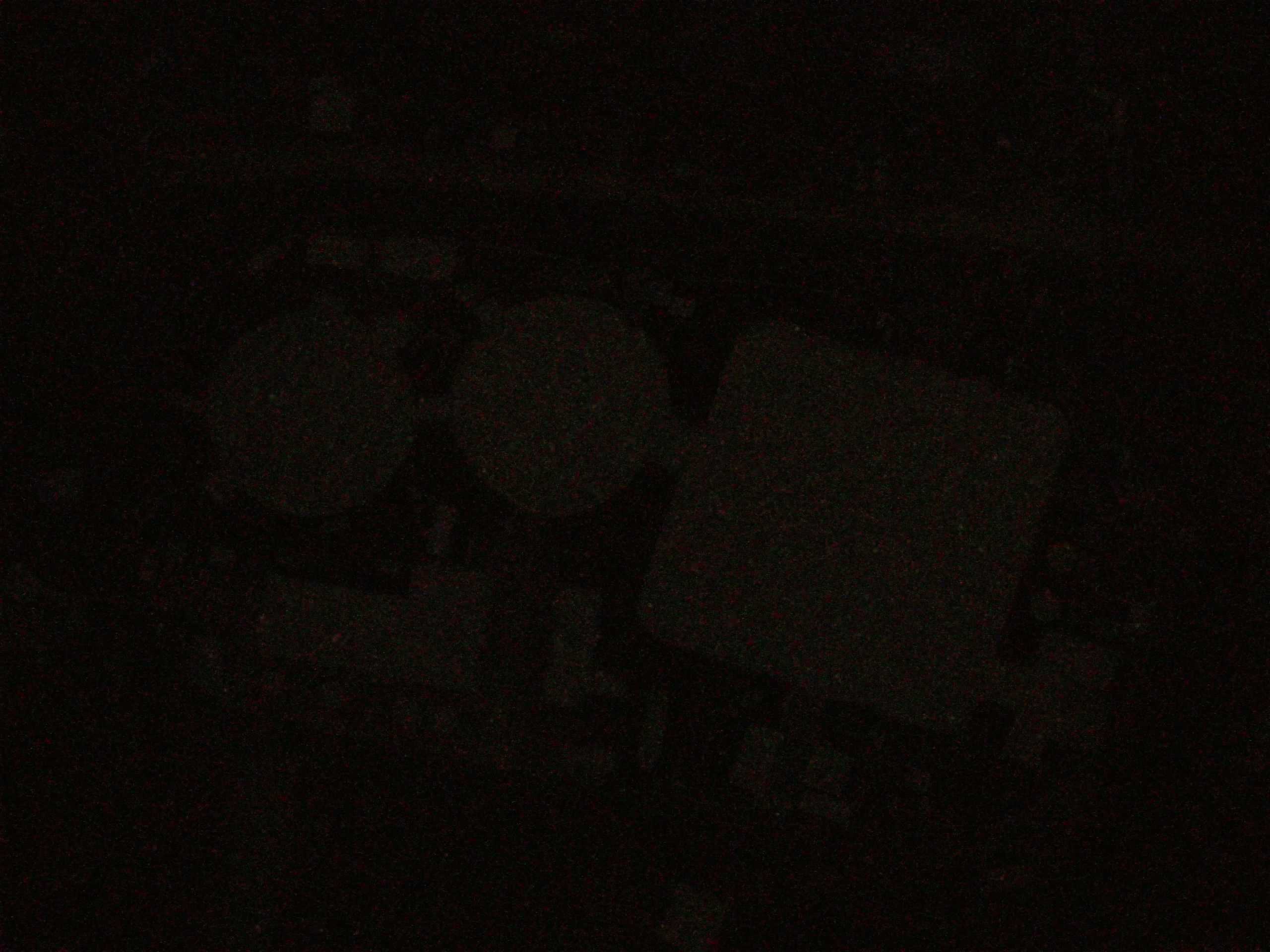 19.05.2025 02:19