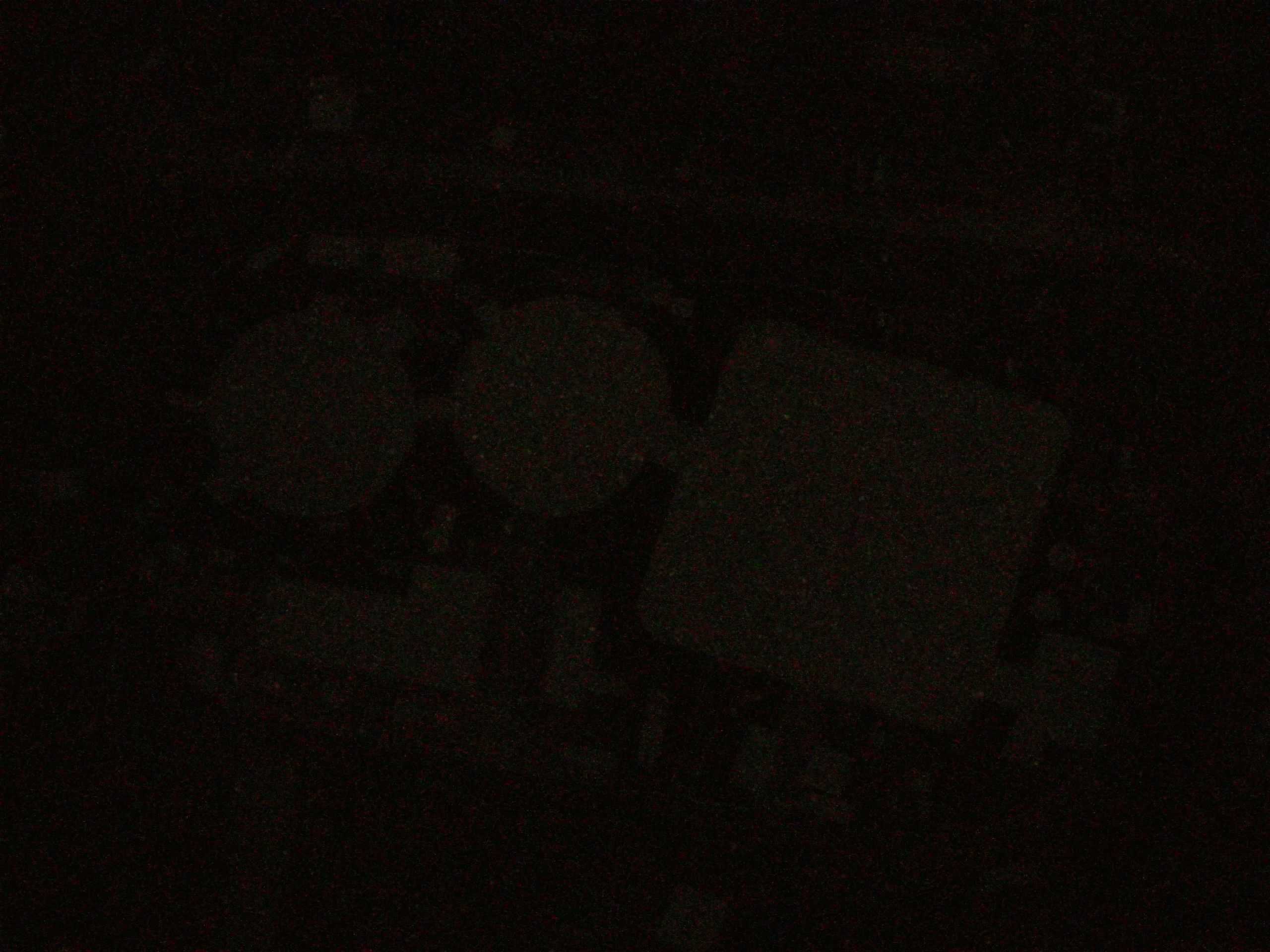 19.05.2025 02:29