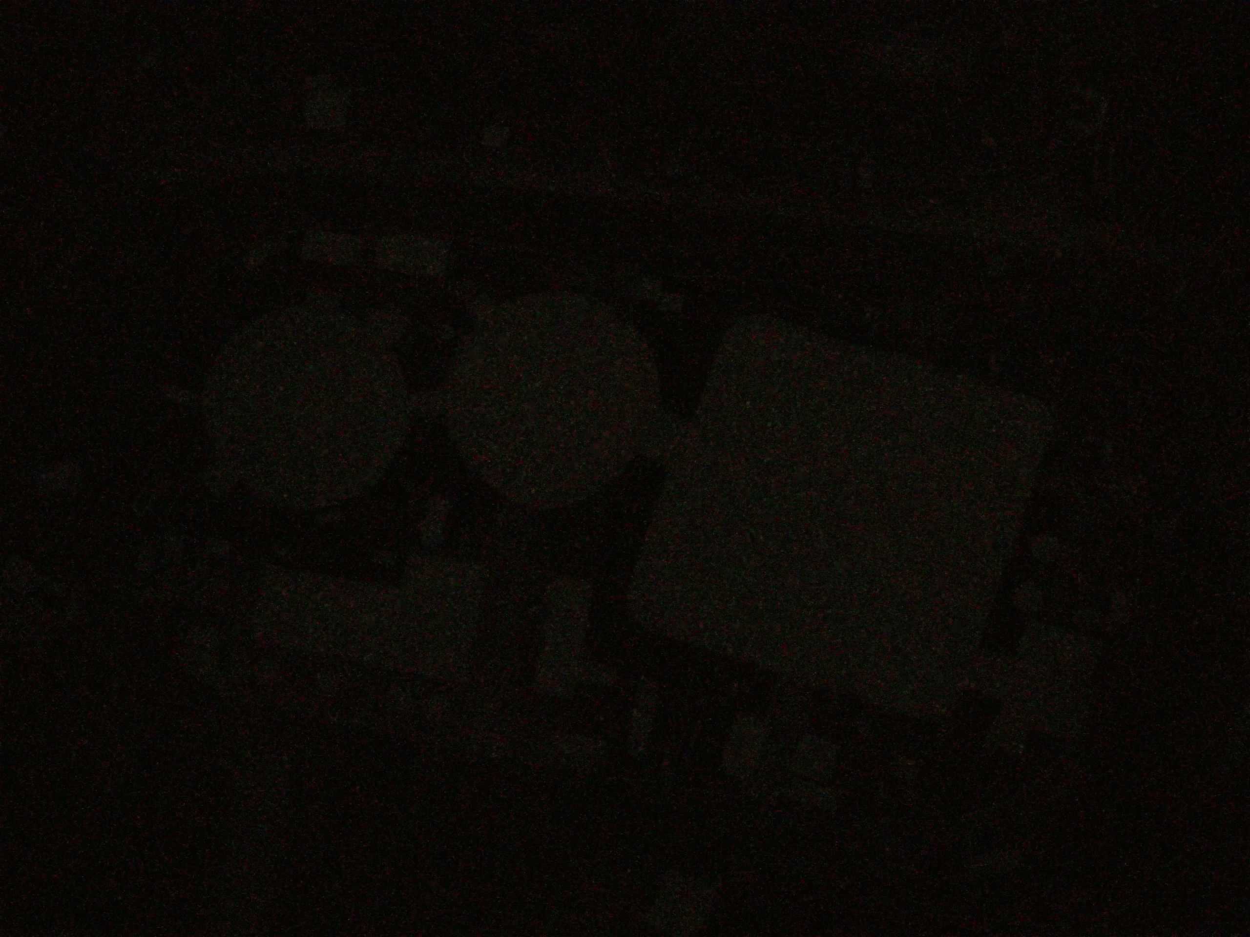 19.05.2025 02:39