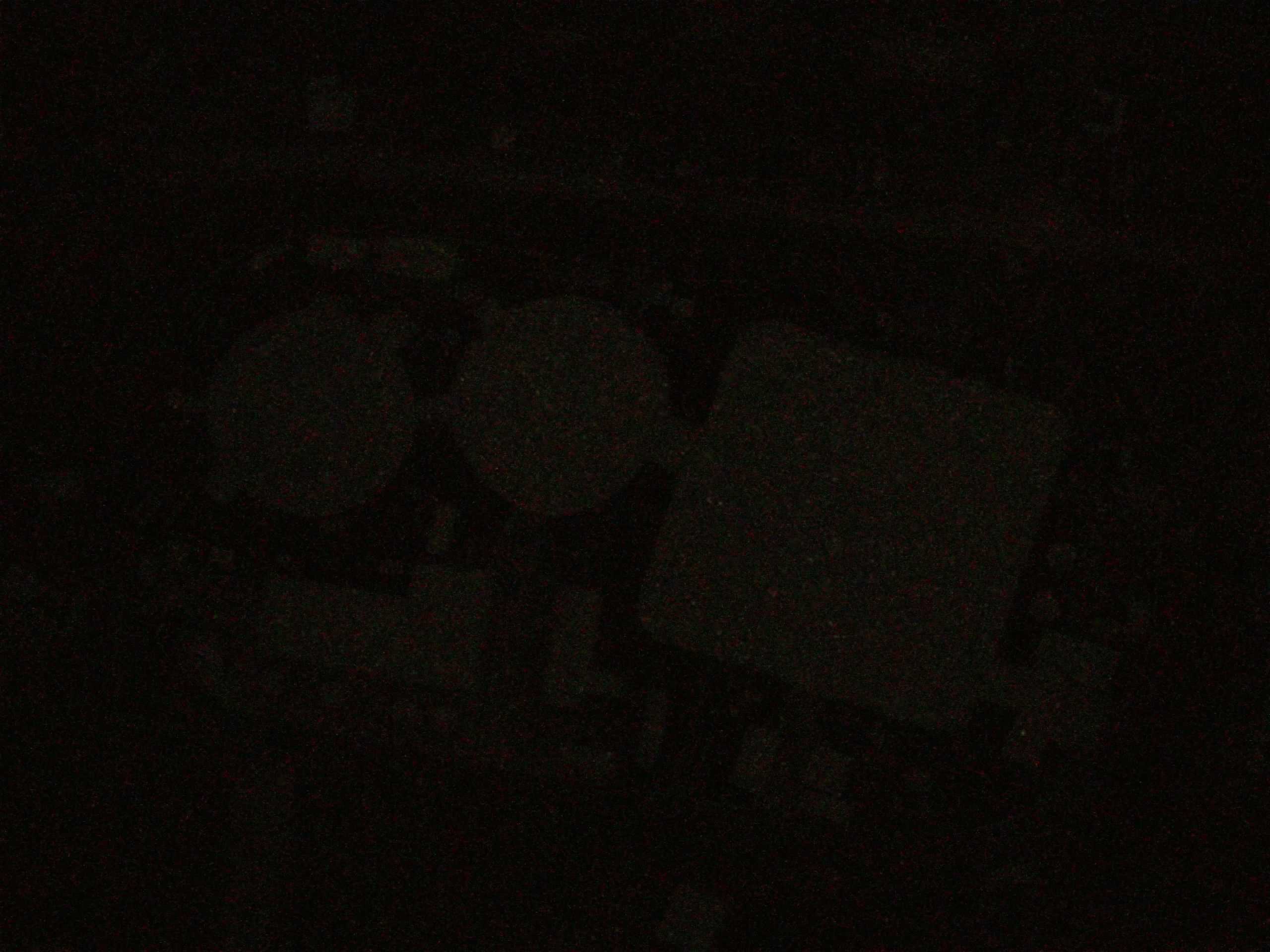 19.05.2025 02:49