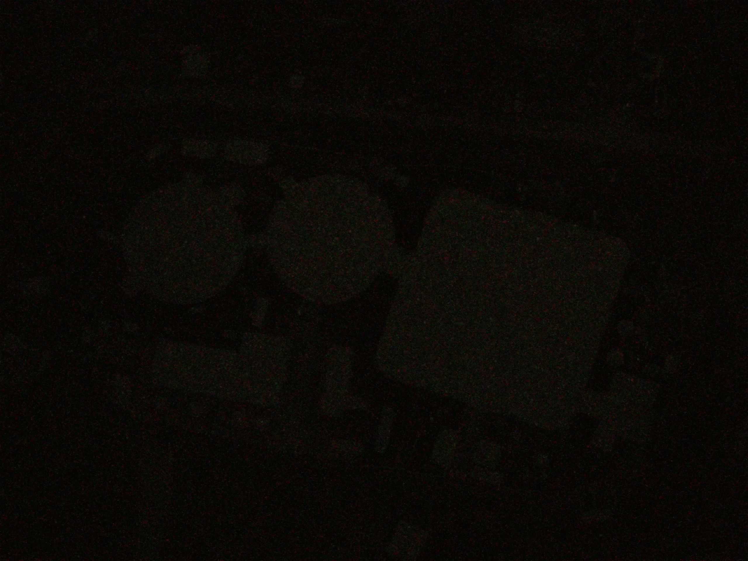 19.05.2025 02:59