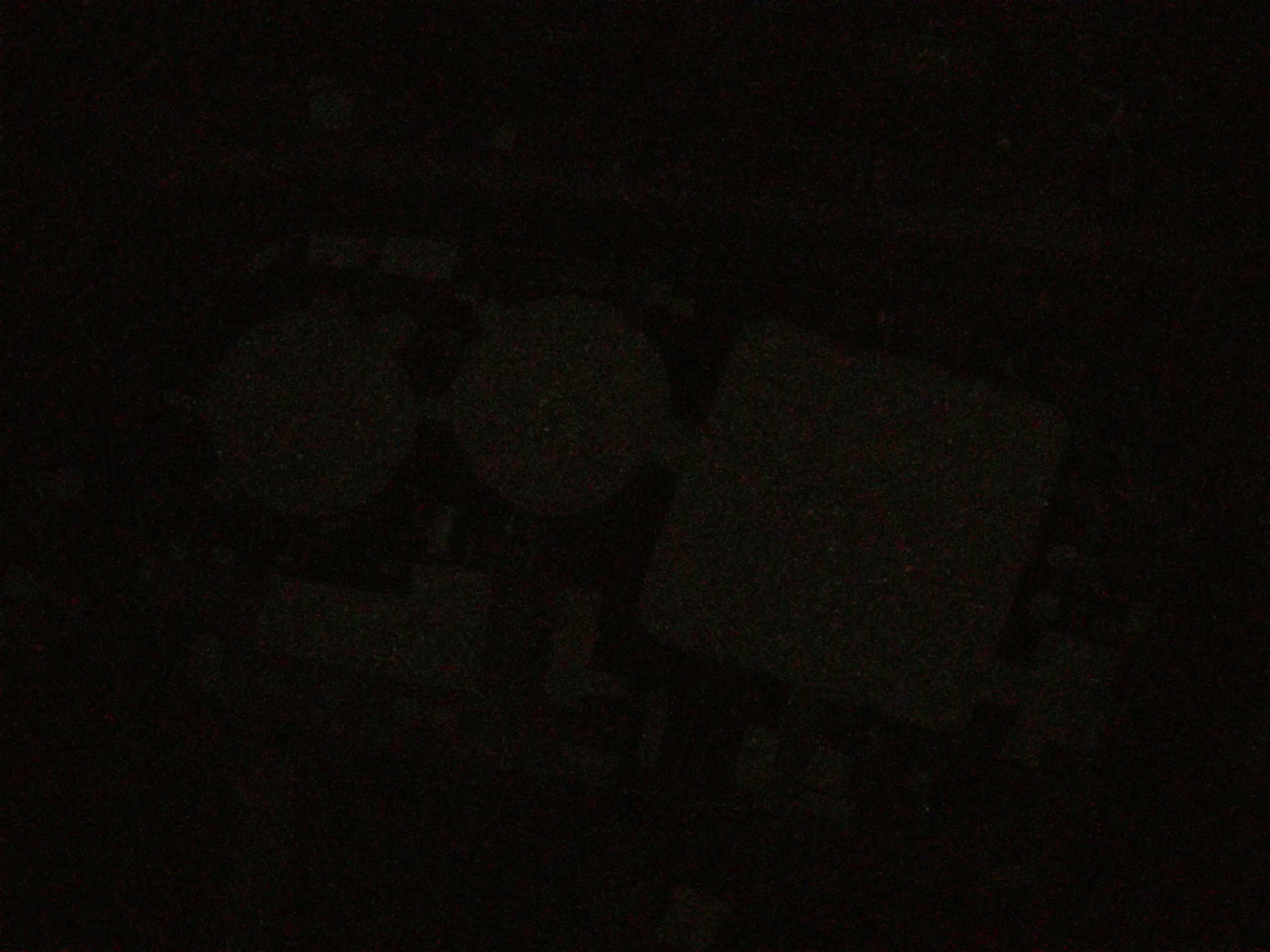 19.05.2025 03:09
