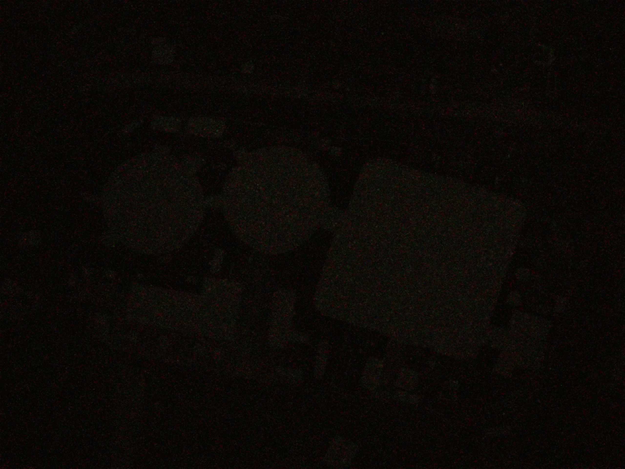 19.05.2025 03:29
