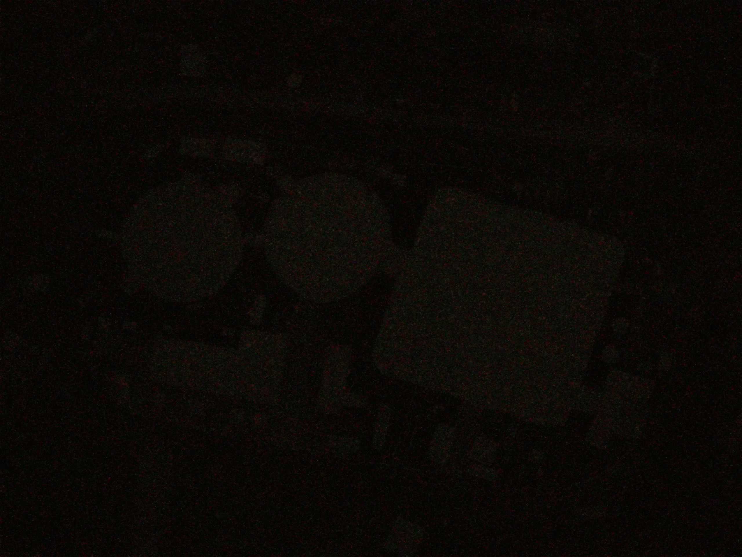 19.05.2025 03:39