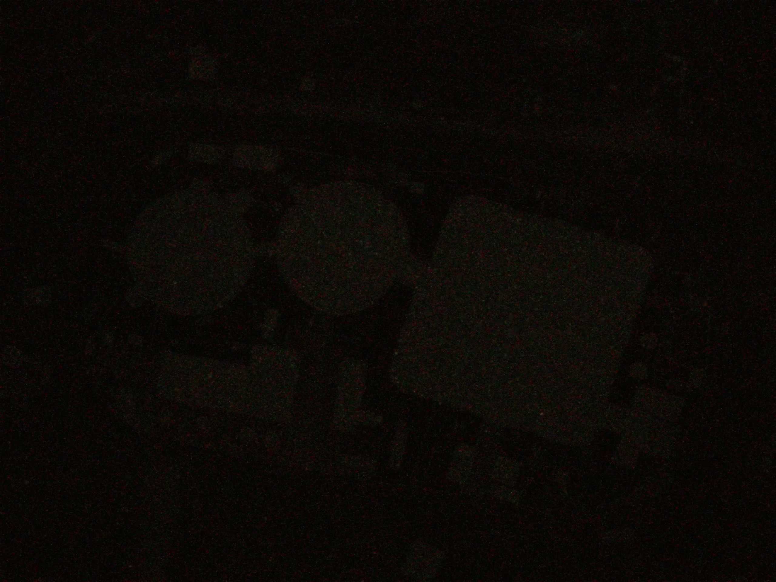 19.05.2025 04:09