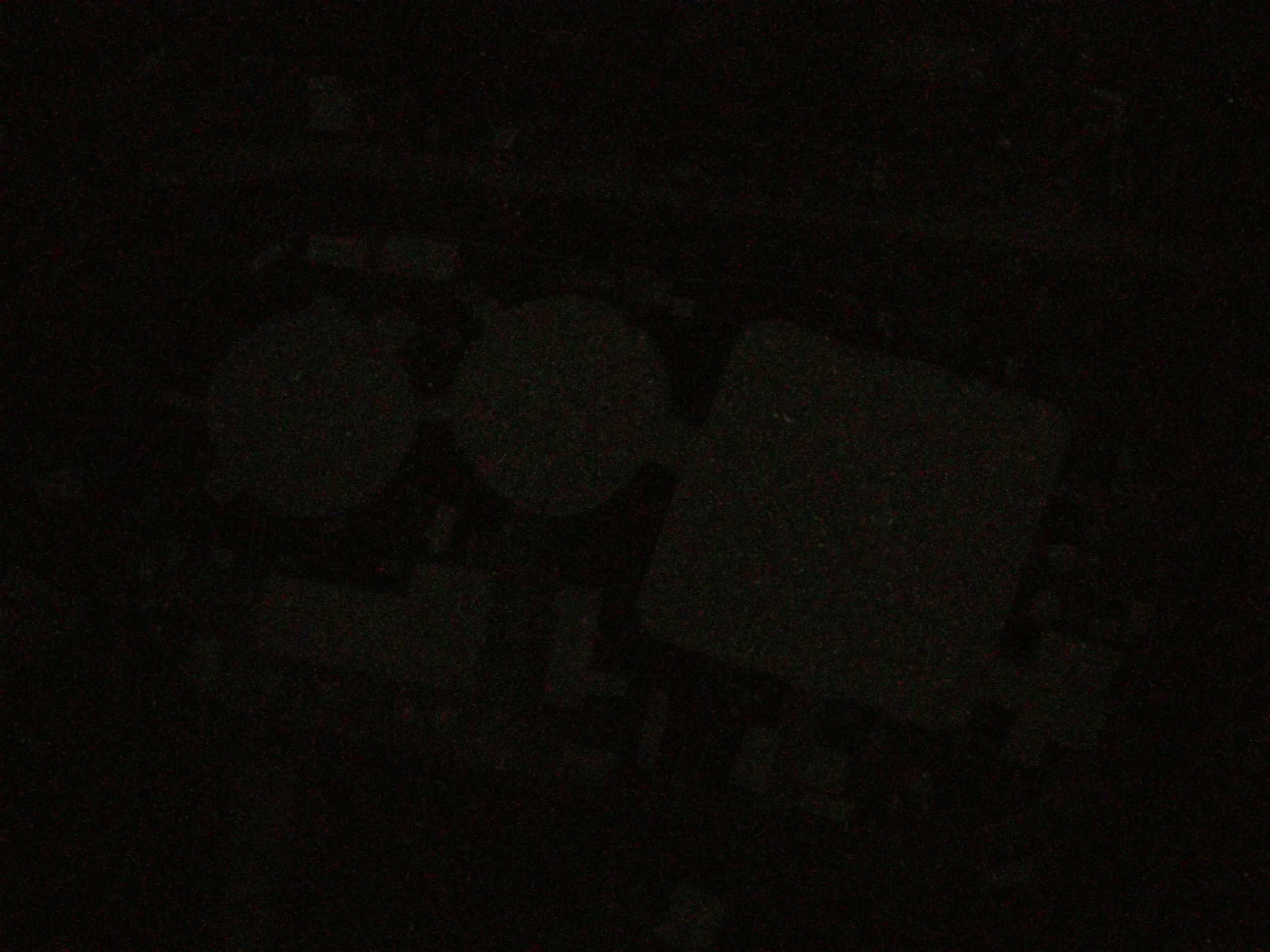 19.05.2025 04:19